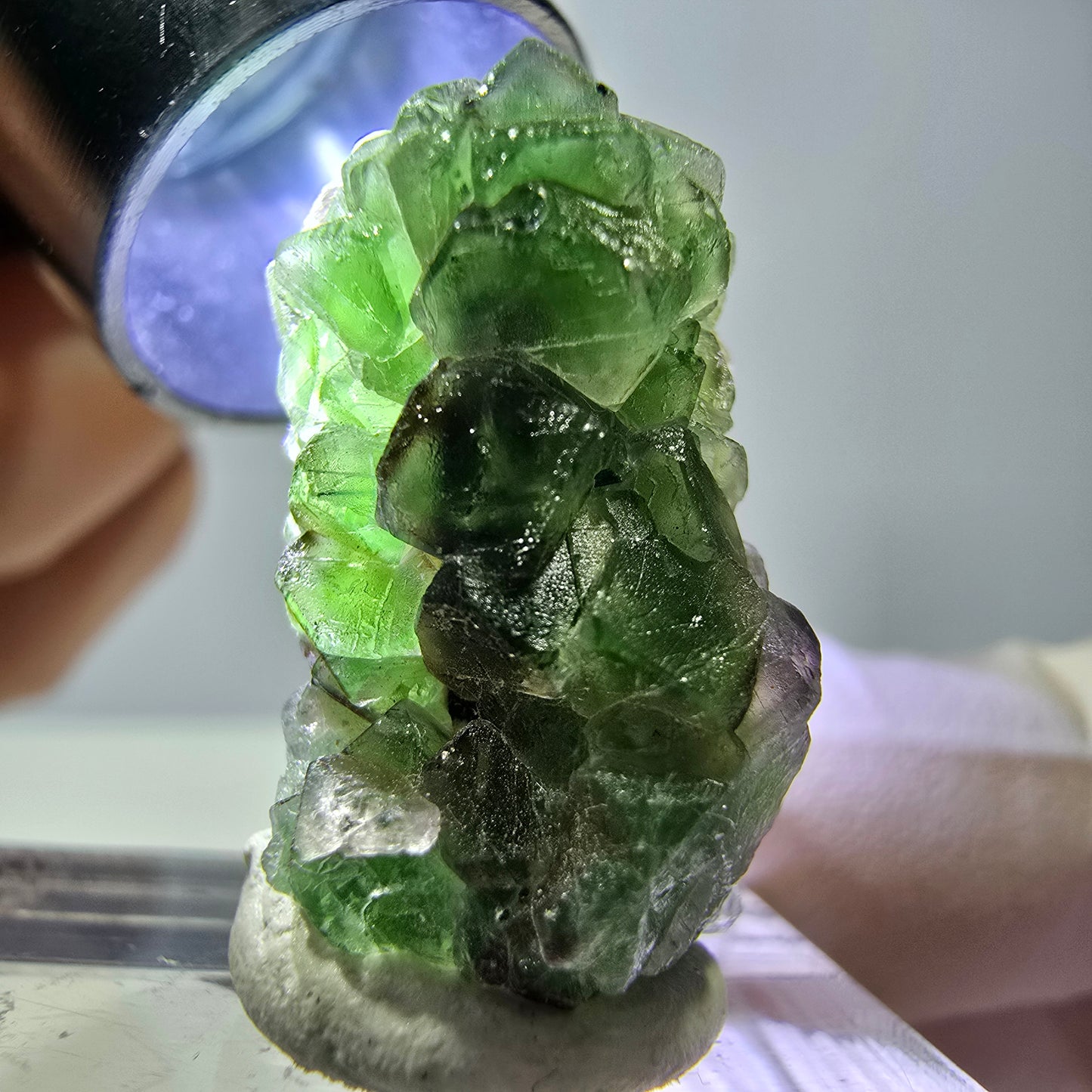 Cube de fluorite fantôme, zonal, spécimen de tourmaline Schorl, Erongo, Namibie, 23 x 15 x 14 mm