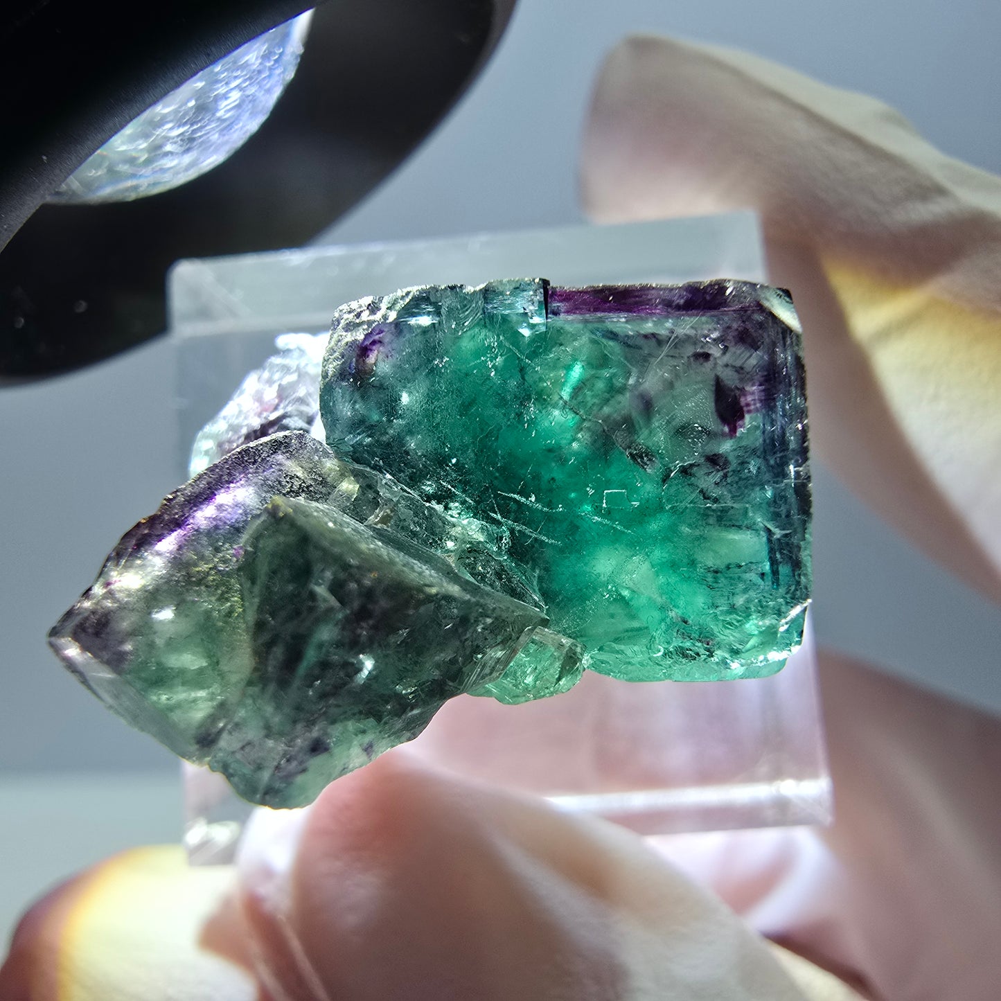 Seltene Fluorit Würfel Stufe, grün lila Okorusu, Namibia 25*23*12mm
