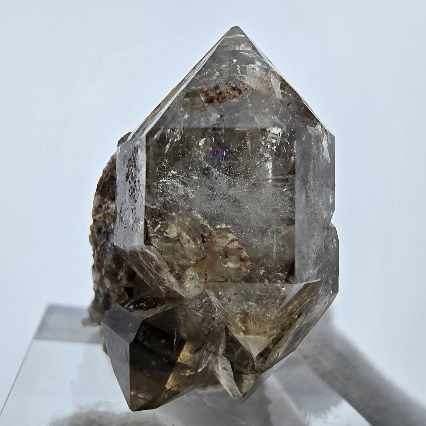Phantom Rauchquarz DT Zepter auf Matrix Stufe Goboboseb, Namibia 35*24*23mm