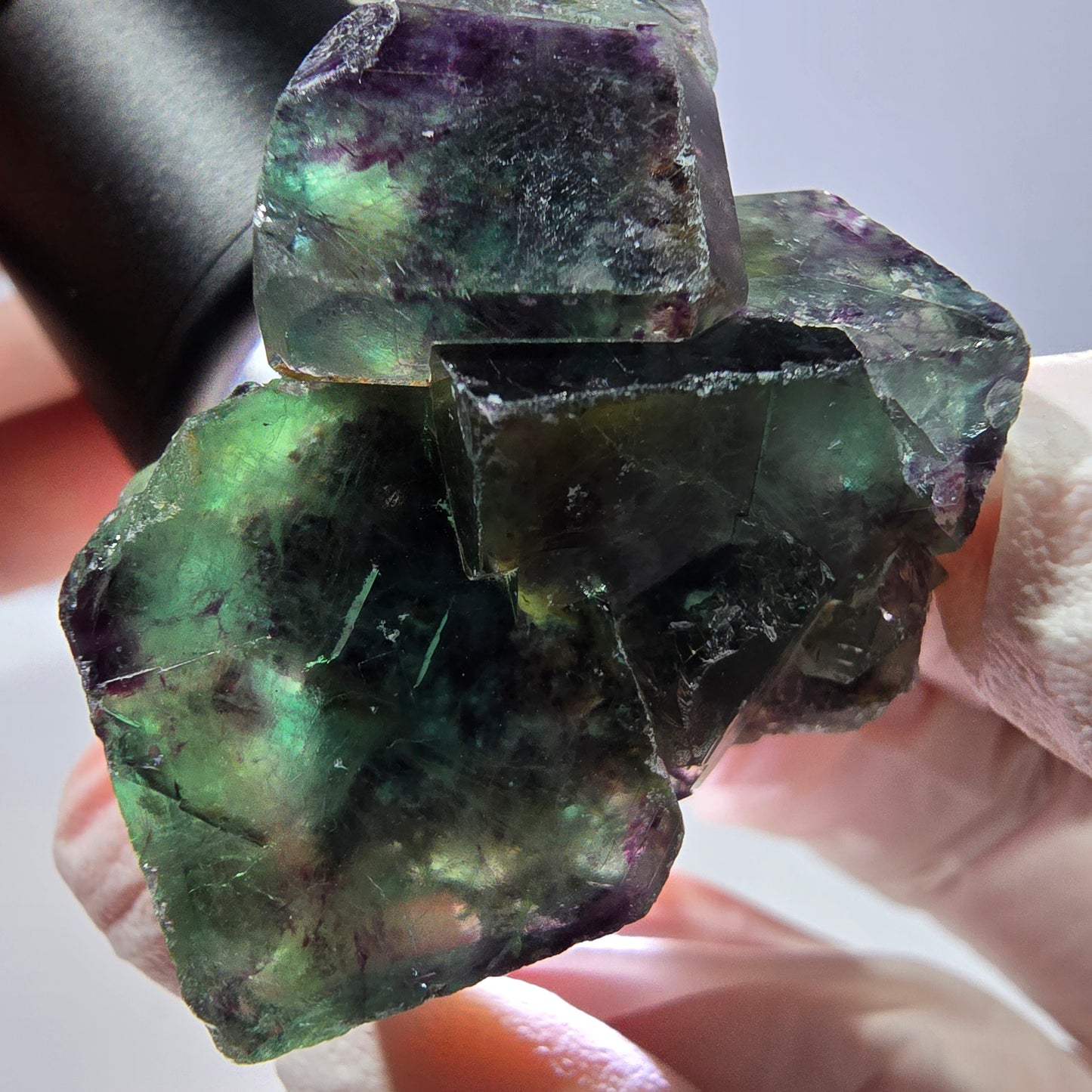 Spécimen de cube de fluorite fantôme, parqueté vert violet Okorusu, Namibie 33*34*21 mm