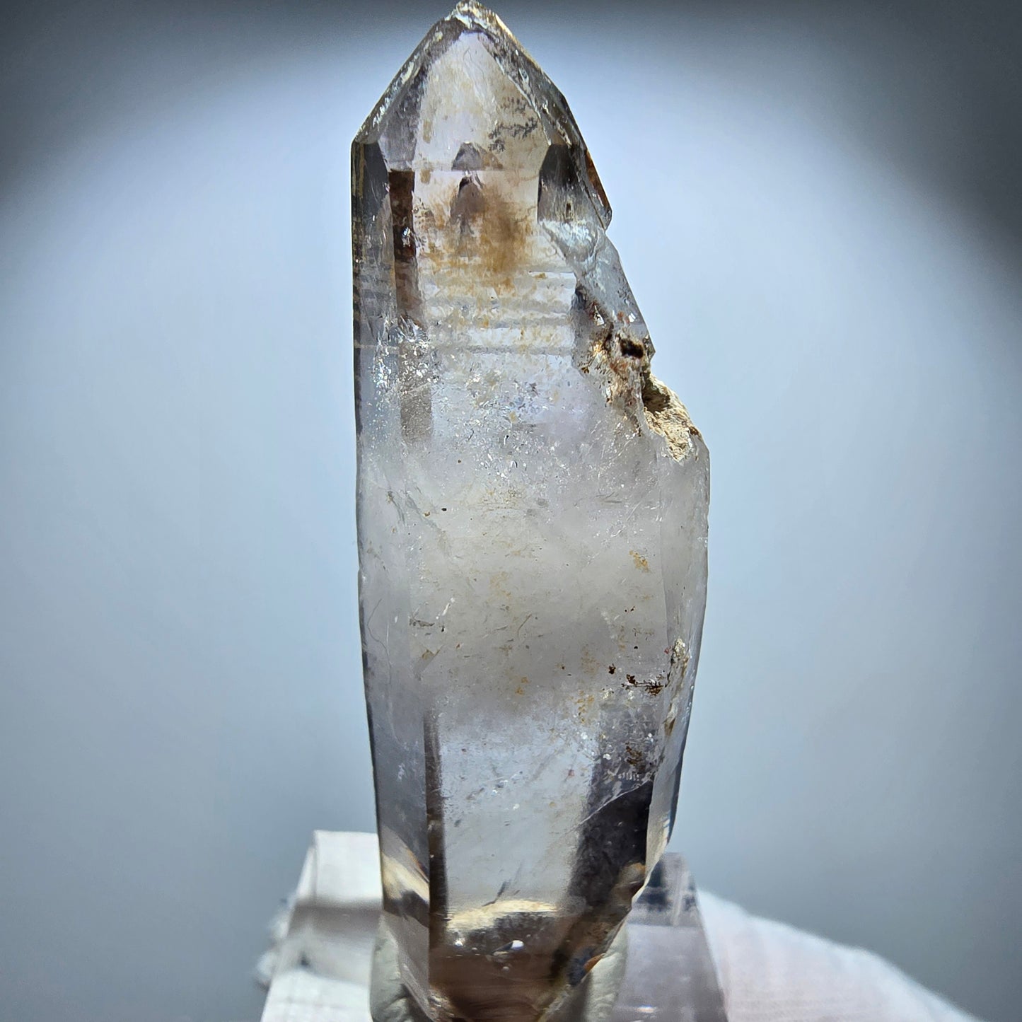 Klarer Phantom Rauchquarz DT Zepter Kristall Goboboseb, Namibia 58*17*15mm