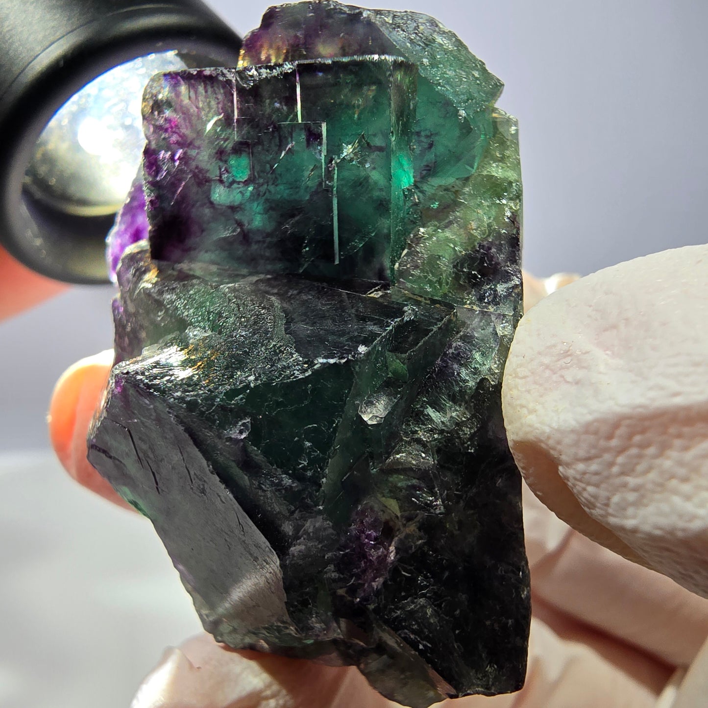 Spécimen de cube de fluorite fantôme, parqueté vert violet Okorusu, Namibie 47*35*24 mm