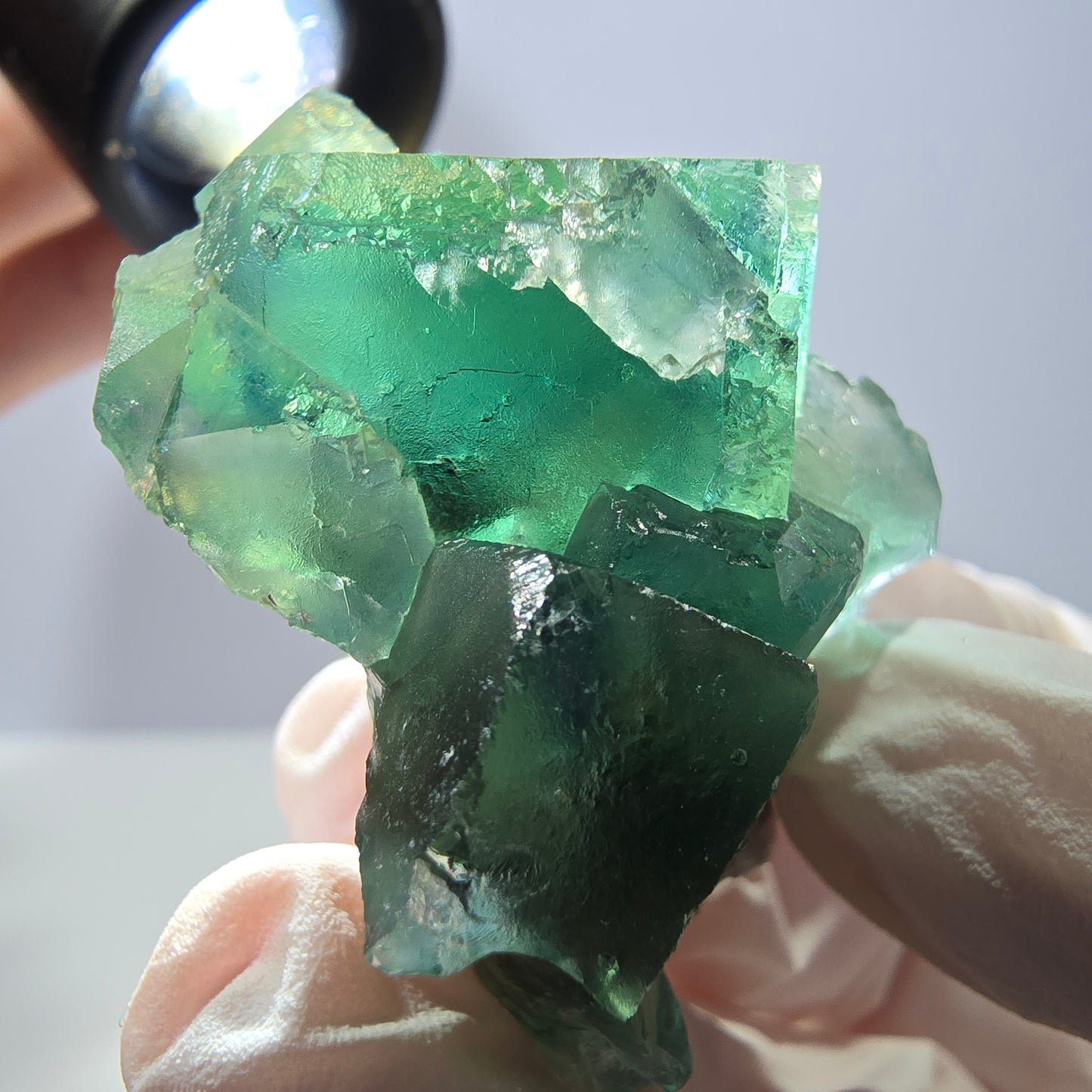 Spécimen de cube de fluorite fantôme transparente, vert parqueté, Okorusu, Namibie, 45 x 35 x 22 mm