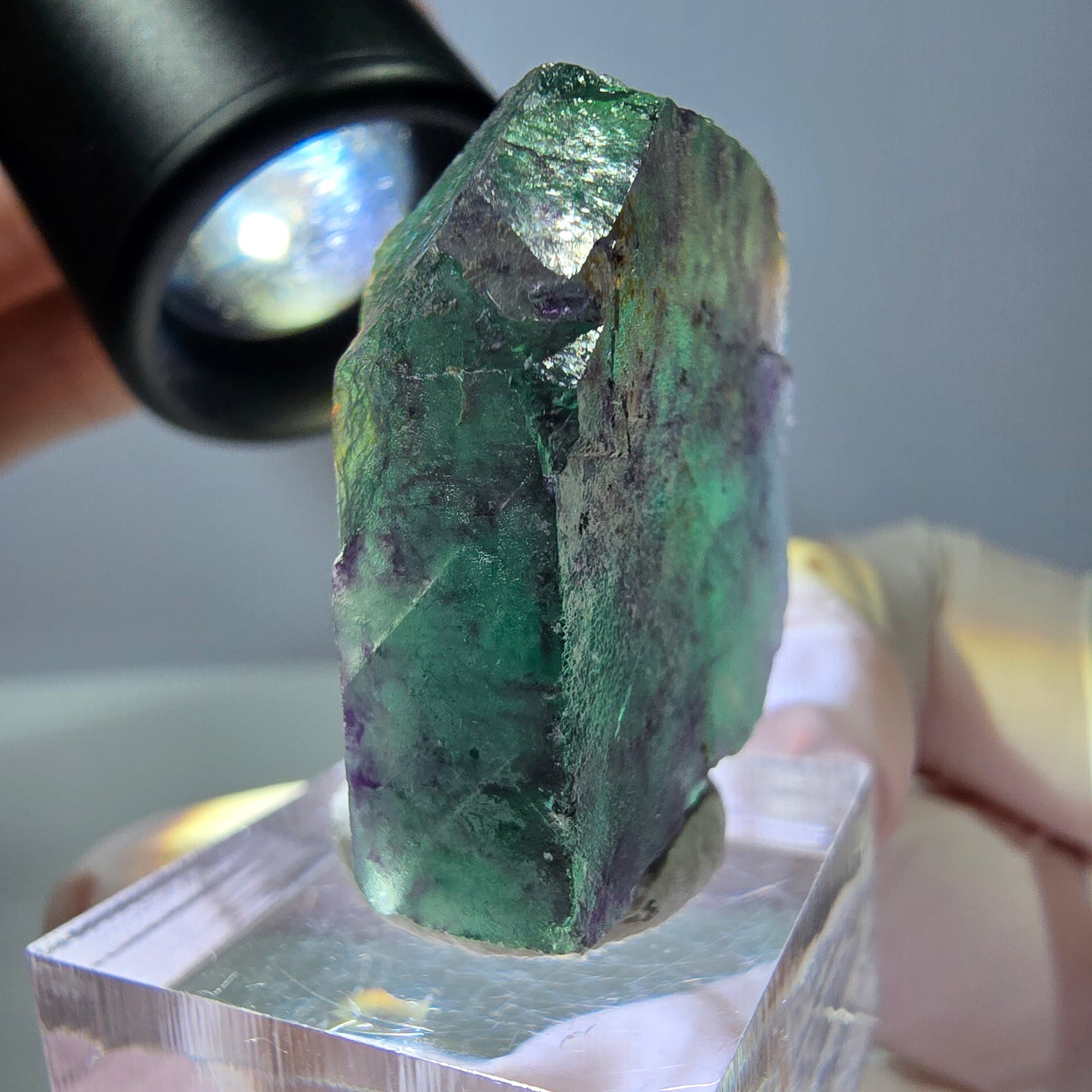 Rare cube de fluorite fantôme parqueté vert violet Okorusu Namibie 31*27*17mm