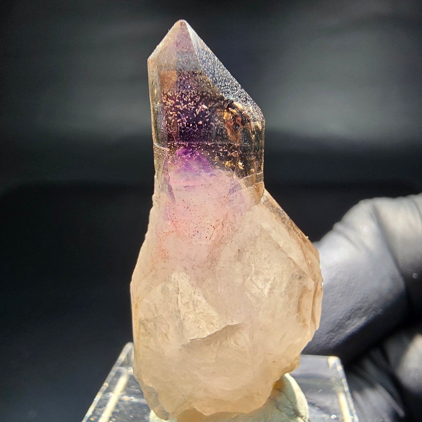 Seltene Phantom Zepter Amethyst Spitze lila braun Goboboseb, Namibia 39*17*15mm