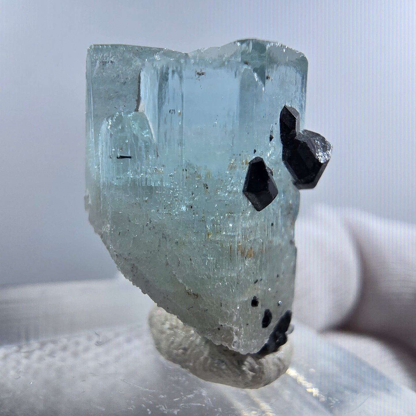 Aigue-marine Setlene, tourmaline Schörl stade Erongo, Namibie 21*15*14mm