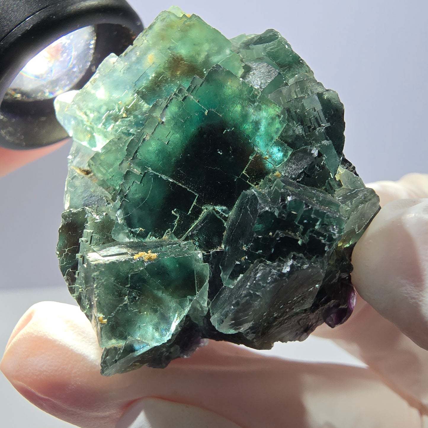 Spécimen de cube de fluorite fantôme parqueté vert violet Okorusu, Namibie 42*38*24mm