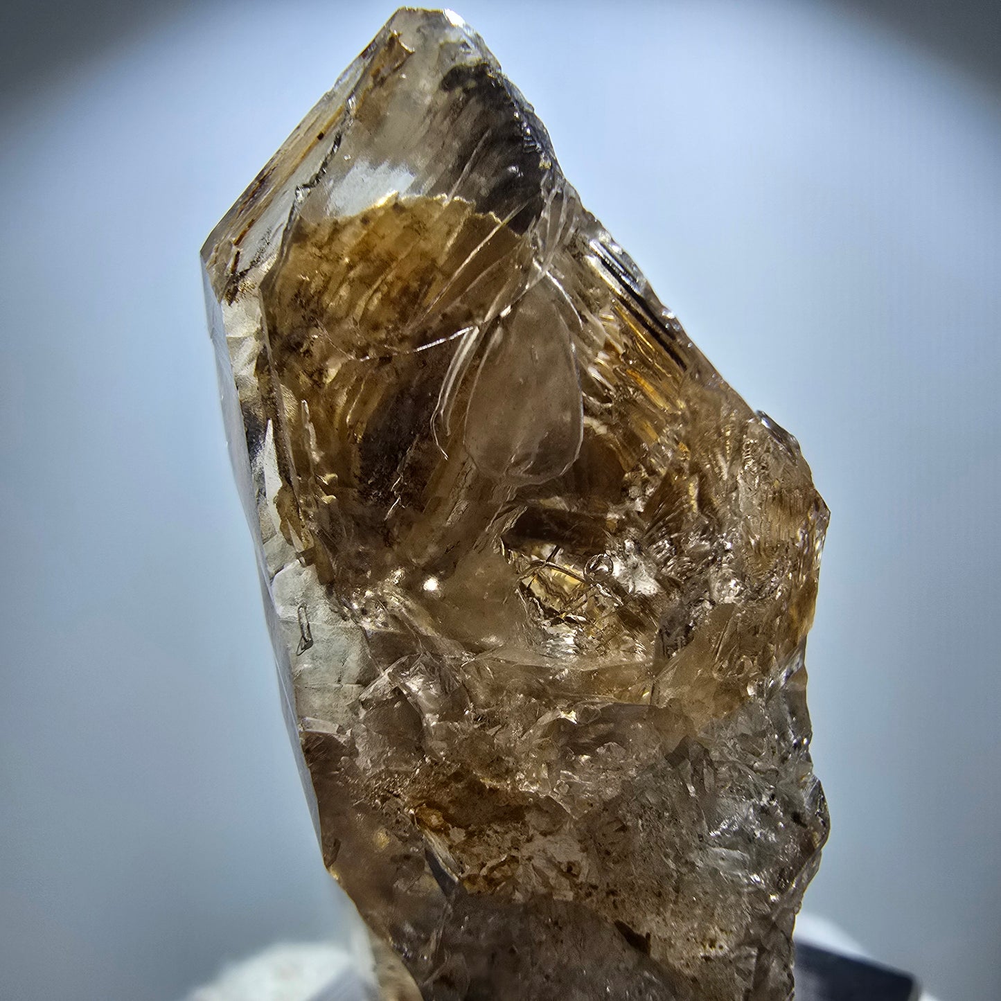 Phantom Rauchquarz Skelett Zepter Stufe Goboboseb, Namibia 49*27*24mm