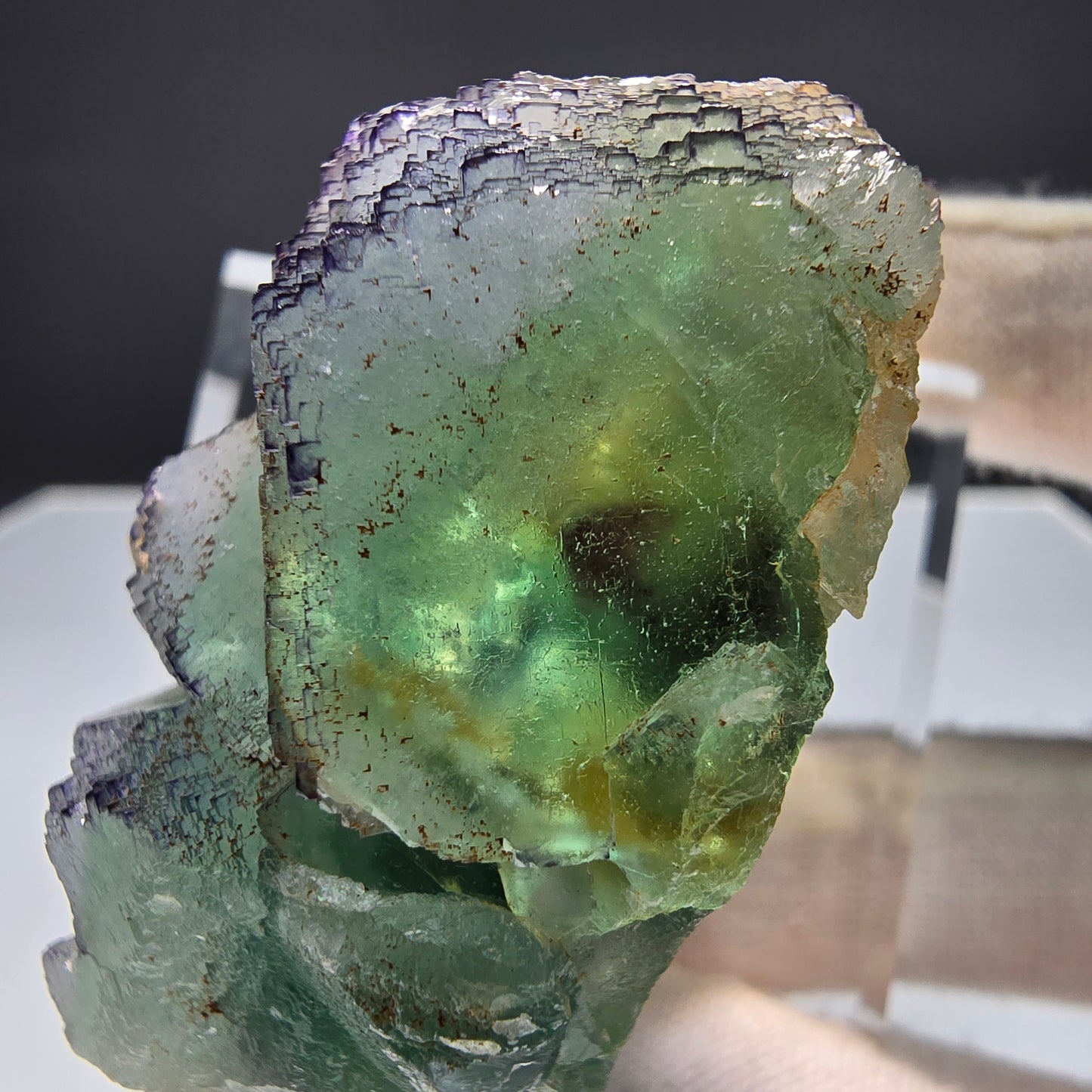Phantom Fluorit Würfel Stufe grün lila parkettiert Okorusu, Namibia 50*37*25mm
