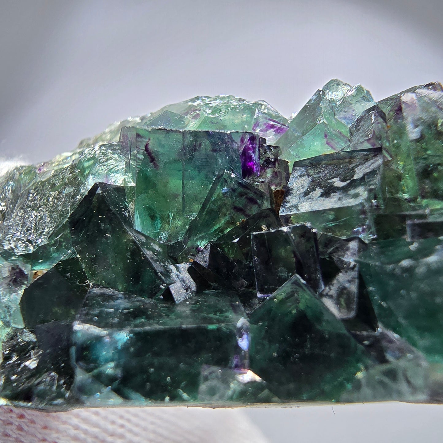 Spécimen rare de cube de fluorite fantôme, vert zonal et violet, Okorusu, Namibie, 54 x 23 x 12 mm