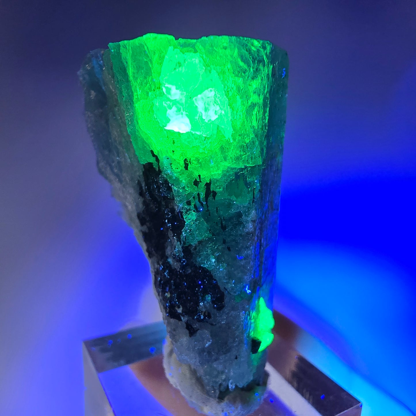 Seltener Aquamarin X mit Hyalit Einschlüssen Erongo, Namibia 42*28*19mm