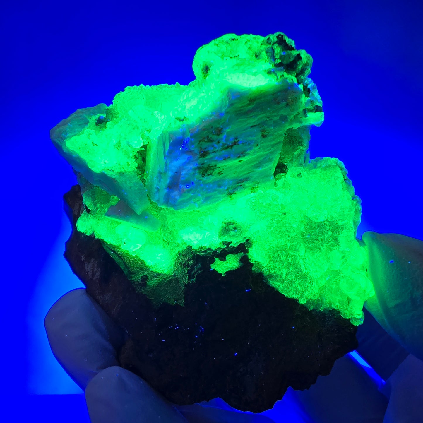 Hyalit Opal, Rauchquarz, Schörl Turmalin, Orthoklas Erongo, Namibia 71*58*45mm
