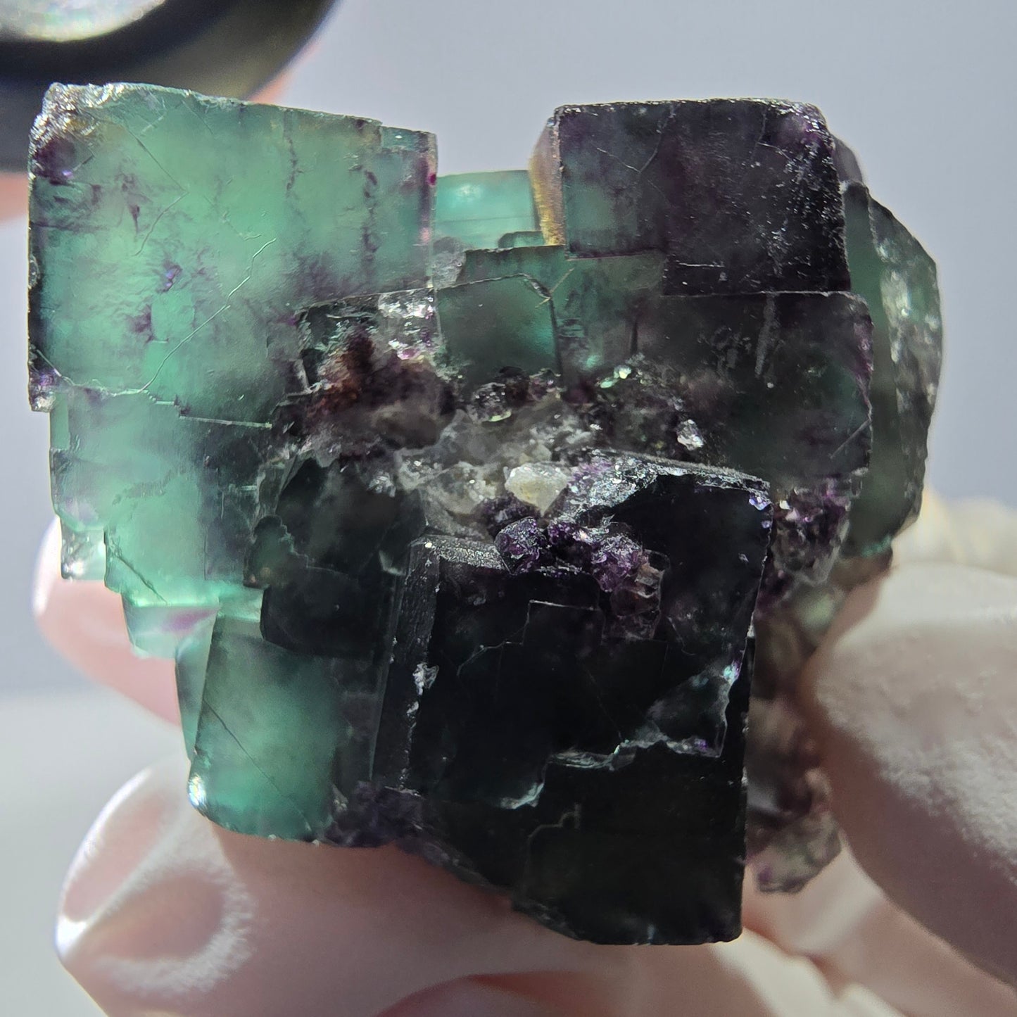 Spécimen de cube de fluorite fantôme parqueté vert violet Okorusu, Namibie 45*42*35 mm
