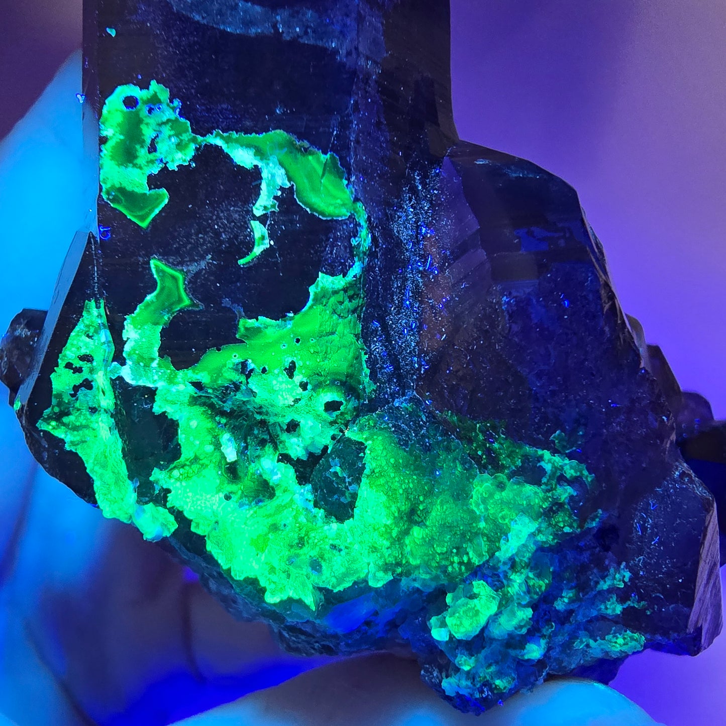 Spécimen de quartz fumé, hyalite et tourmaline Schorl, squelette fantôme, Erongo, Namibie, 95 x 70 x 63 mm