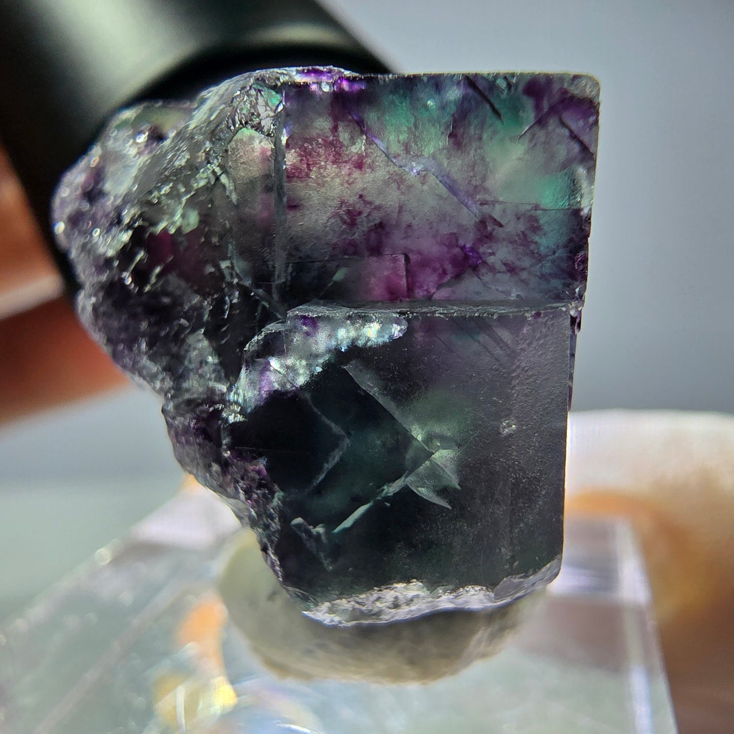 Rare cube de fluorite fantôme parqueté vert violet Okorusu Namibie 24*23*21mm