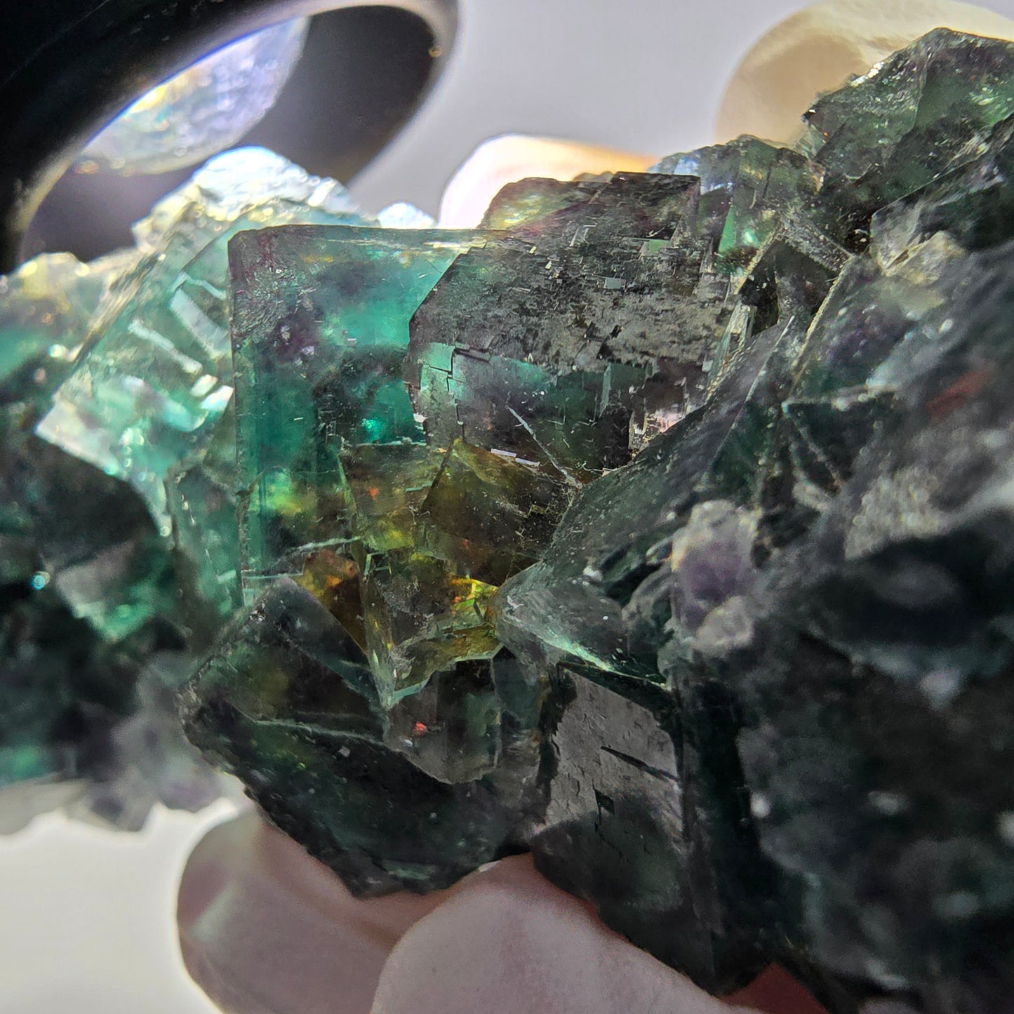 Spécimen de cube de fluorite fantôme, parqueté vert-brun Okorusu, Namibie 89 x 42 x 26 mm