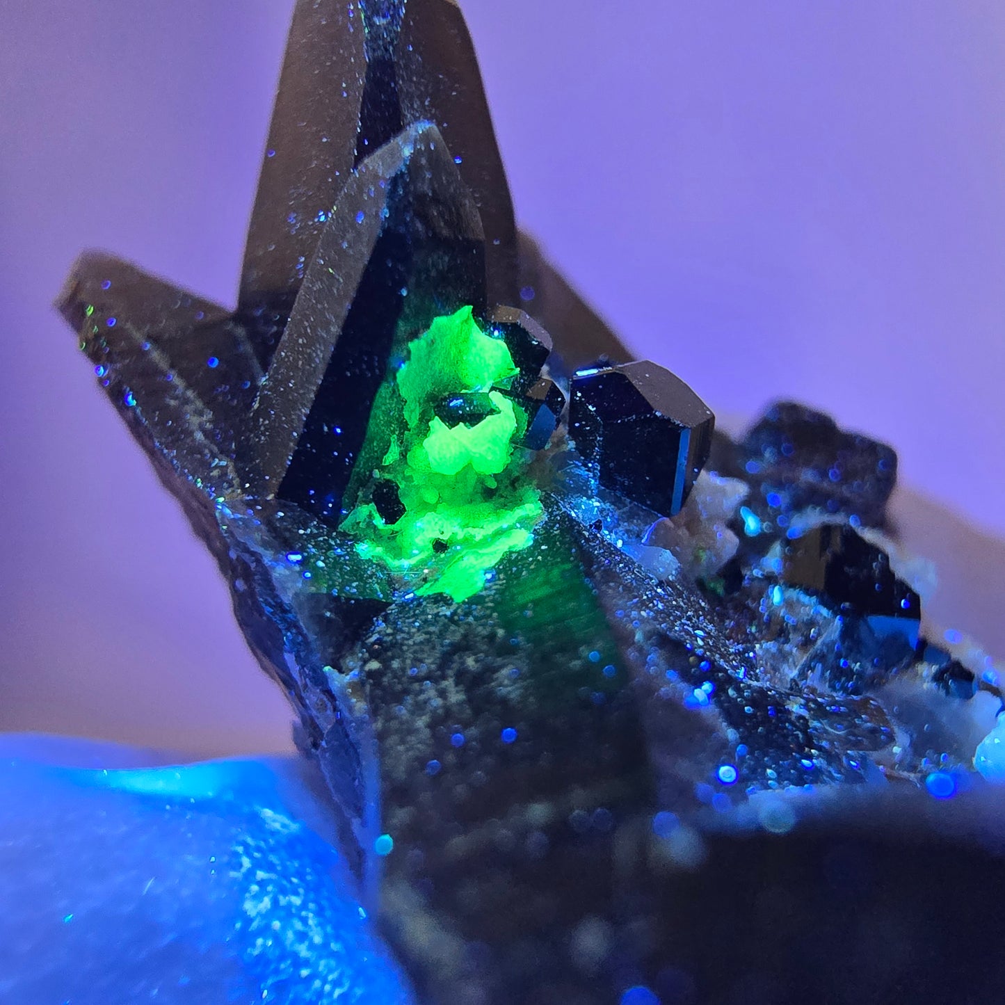 Spécimen rare de tourmaline Schorl, quartz fumé et hyalite, Erongo, Namibie, 37 x 29 x 19 mm