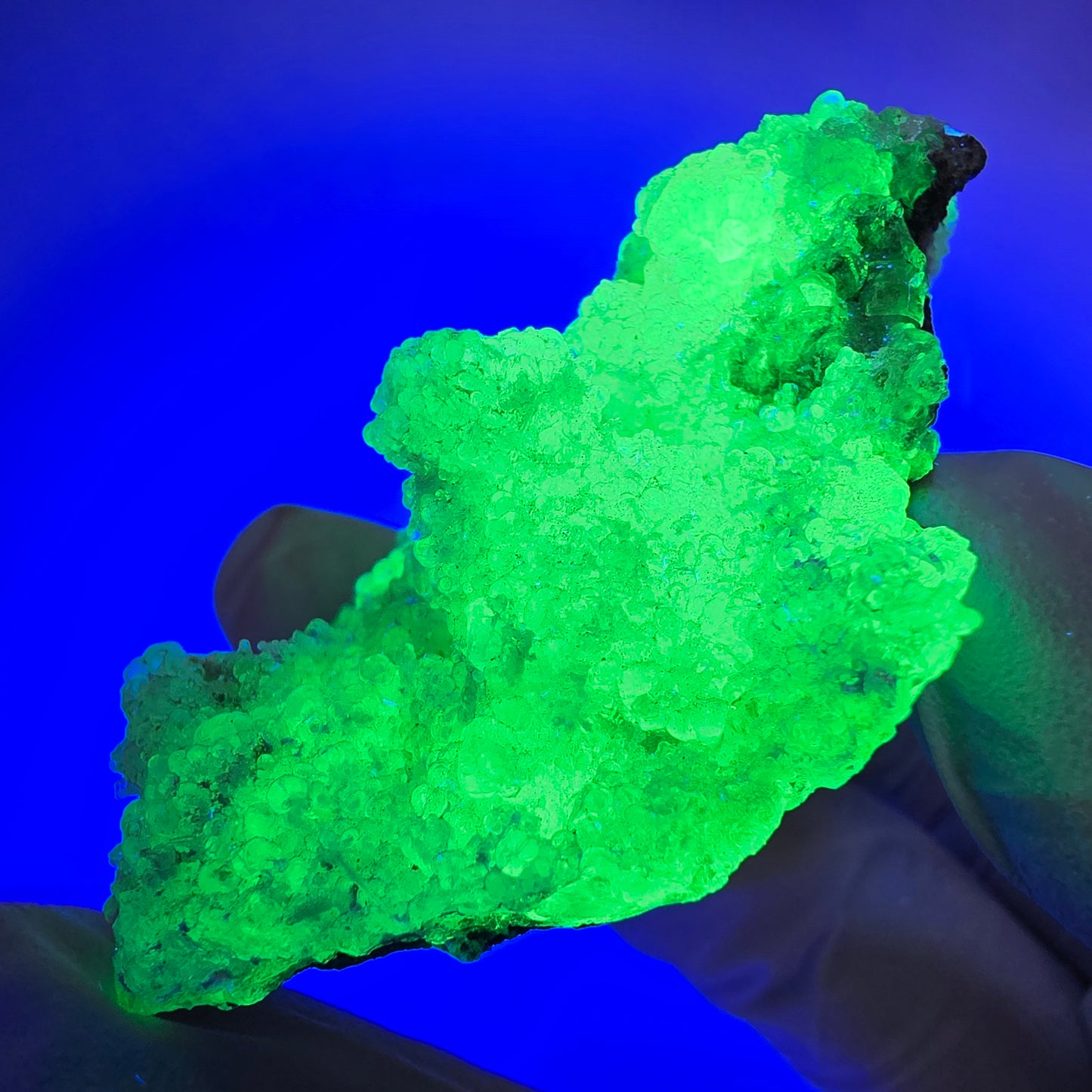 Spécimen rare d'opale hyalite et de tourmaline Schorl, Erongo, Namibie, 62 x 43 x 21 mm