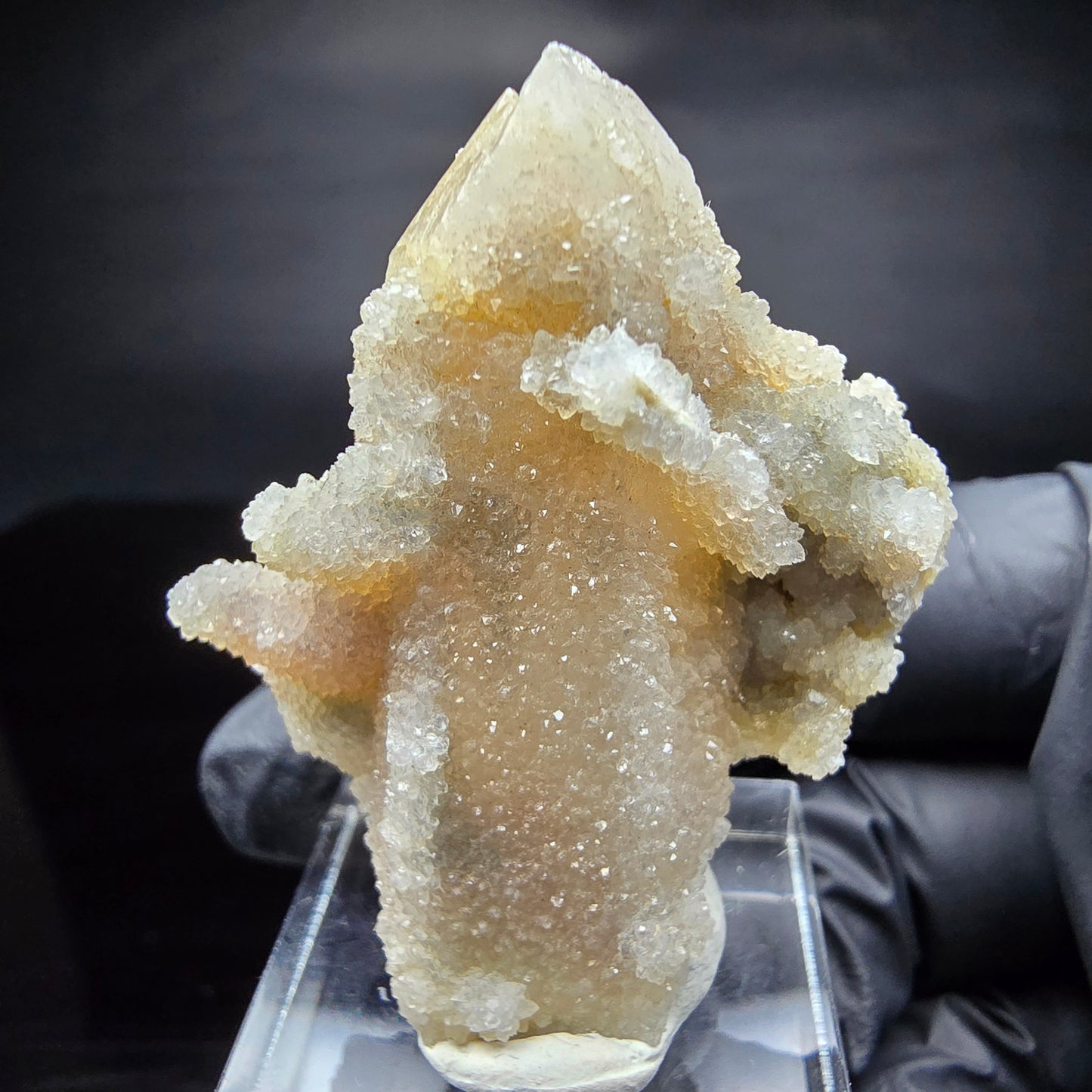 Kaktusquarz, Spirit Quarz XX Stufe Boekenhouthoek, Südafrika 45*37*26mm Sammlung