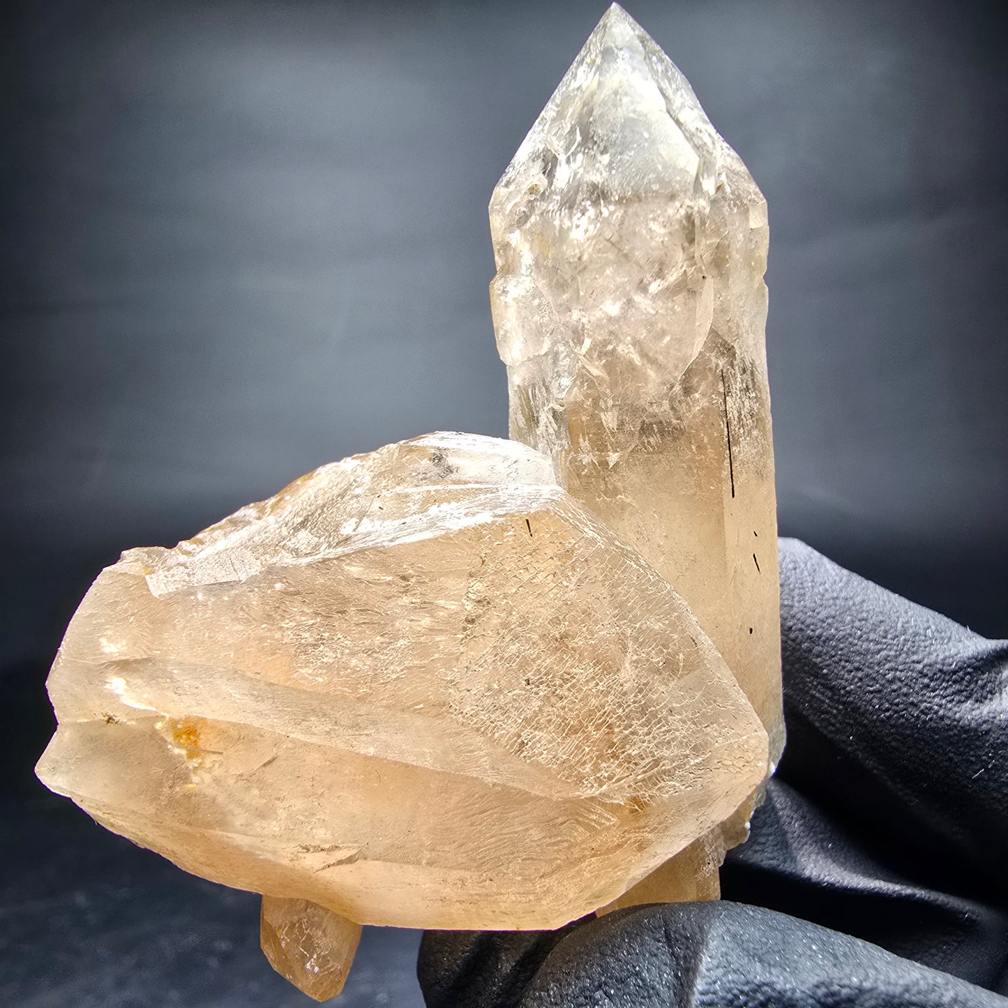 Klare Rauchquarz Zepter mit Schörl Turmalin Stufe Erongo, Namibia 58*47*28mm