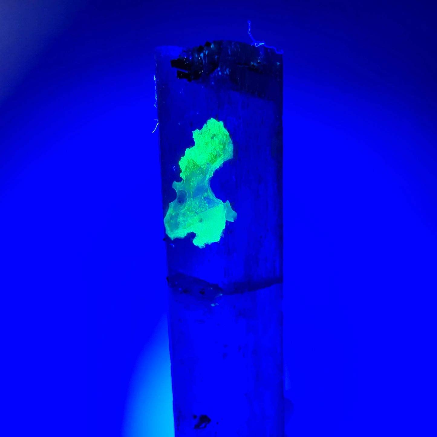 Seltener Aquamarin X mit Hyalit, Schörl Turmalin Erongo, Namibia 45*10*7mm