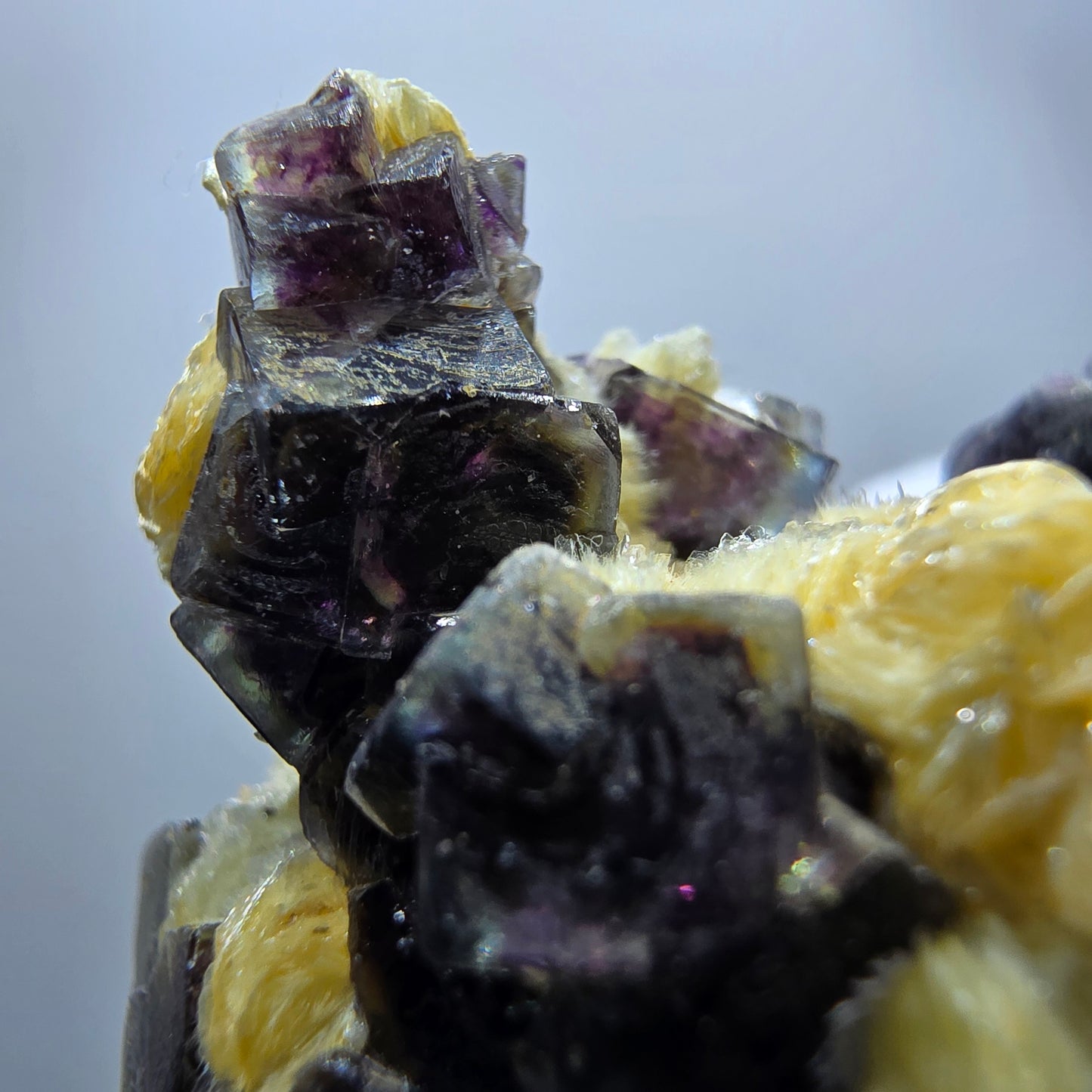 Cubes de fluorite fantôme colorés, hyalite, spécimen de muscovite, Erongo, Namibie, 42 x 39 x 28 mm