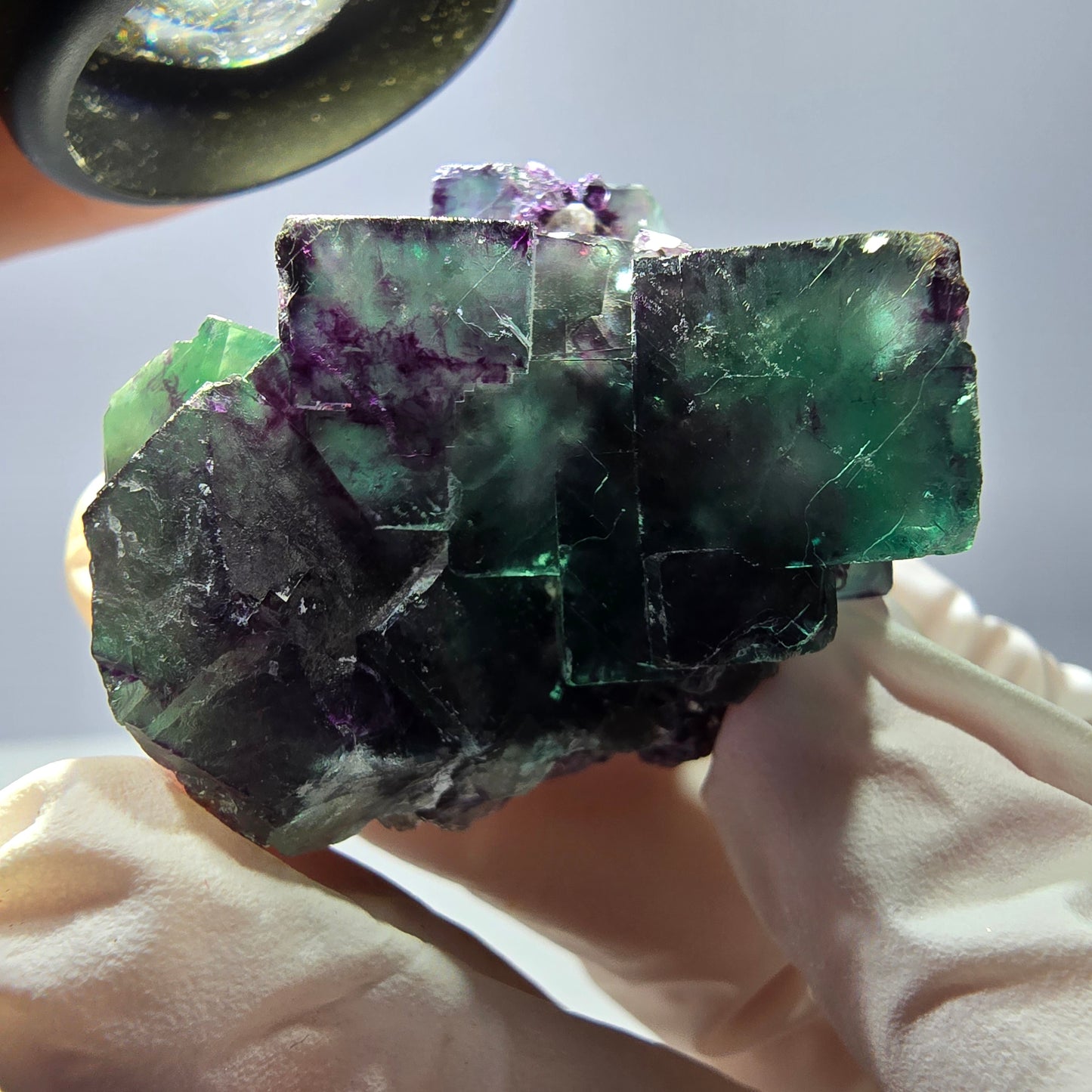 Spécimen de cube de fluorite fantôme parqueté vert violet Okorusu, Namibie 45*42*35 mm