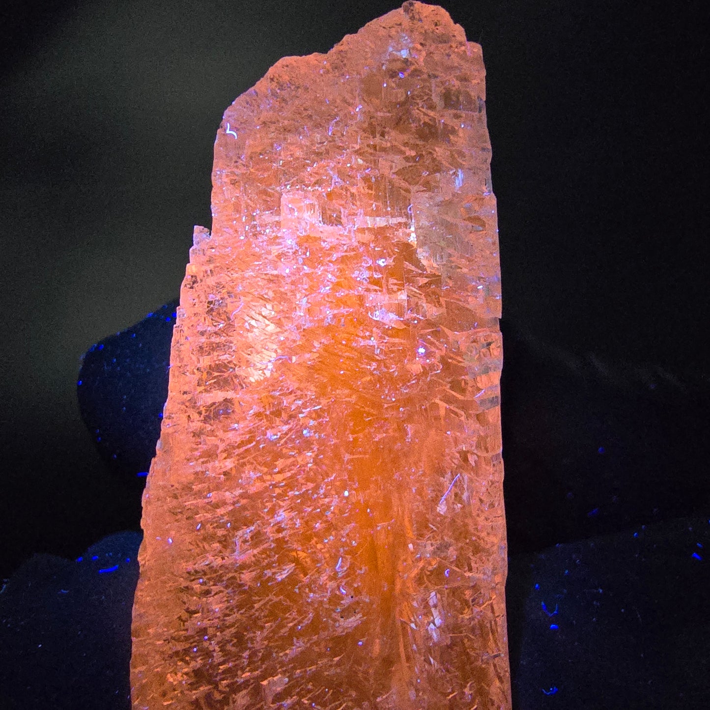 Seltener Kunzit Spodumen Kristall weiß UV Mineral 73*22*13mm Brasilien Sammlung