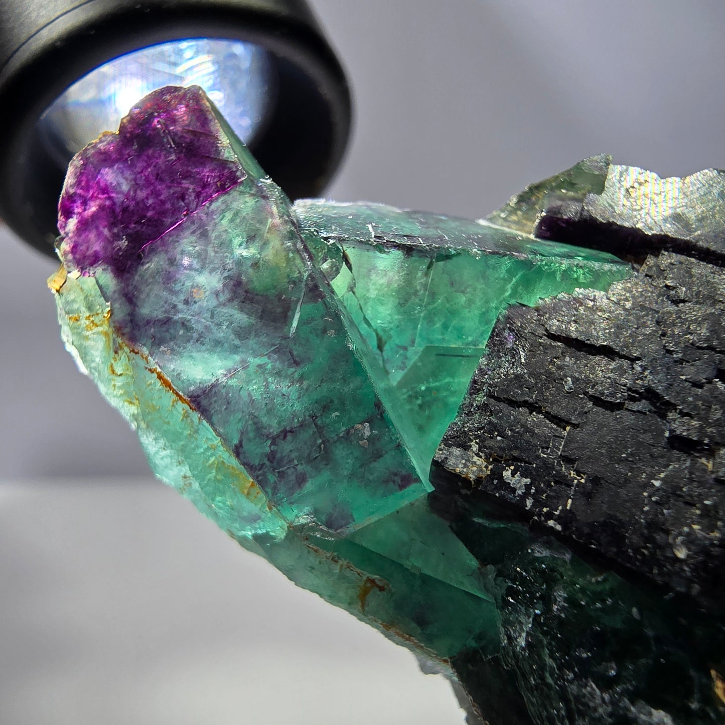 Spécimen de cube de fluorite fantôme, parqueté vert violet Okorusu, Namibie 59*41*24 mm
