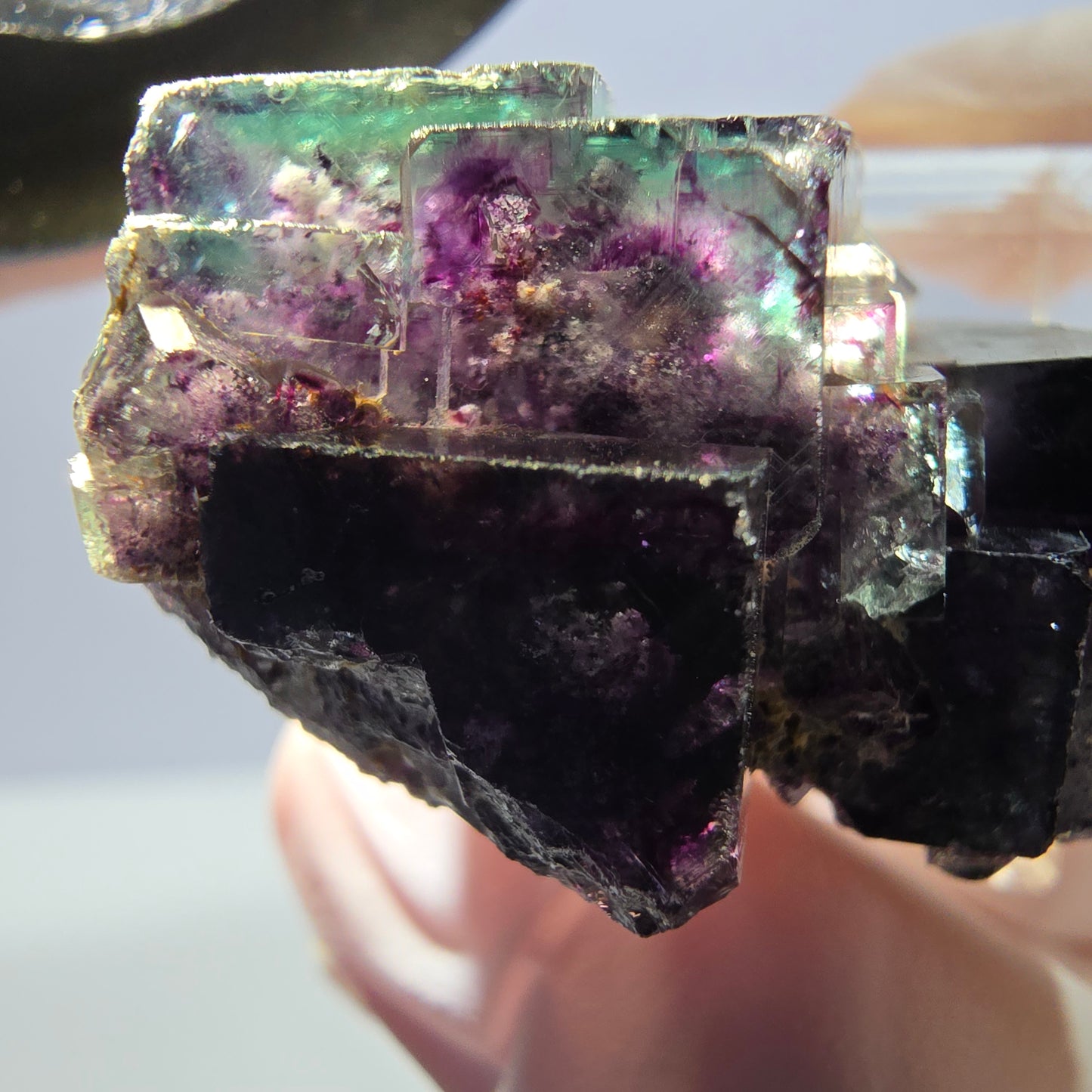 Spécimen de cube de fluorite fantôme, parqueté vert violet Okorusu, Namibie 34*24*19 mm