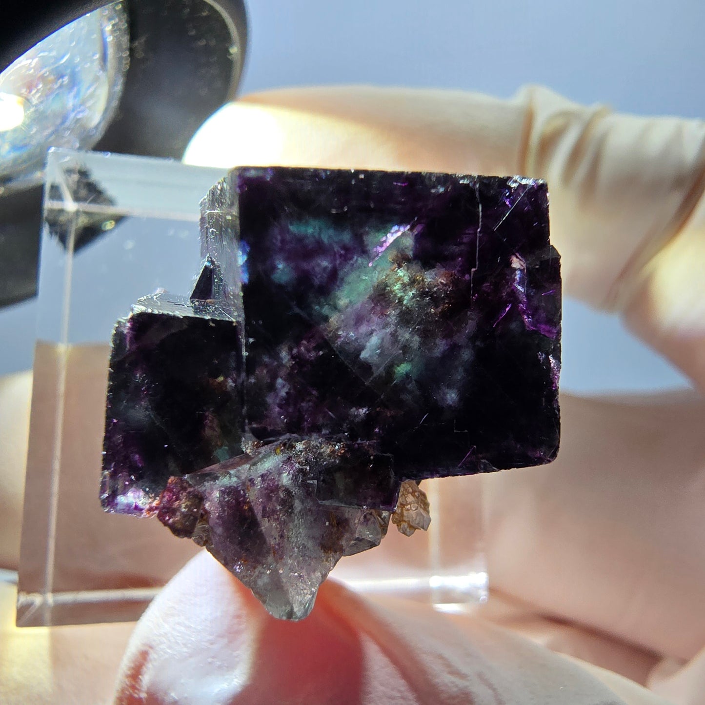 Spécimen de cube de fluorite fantôme, parqueté vert violet Okorusu, Namibie 20 x 20 x 16 mm