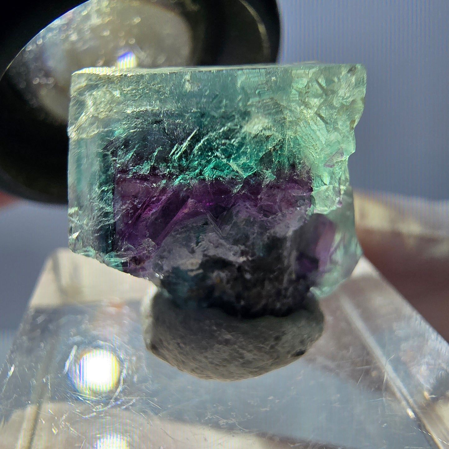Spécimen de cube de fluorite fantôme, parqueté vert violet Okorusu, Namibie 19 x 18 x 15 mm