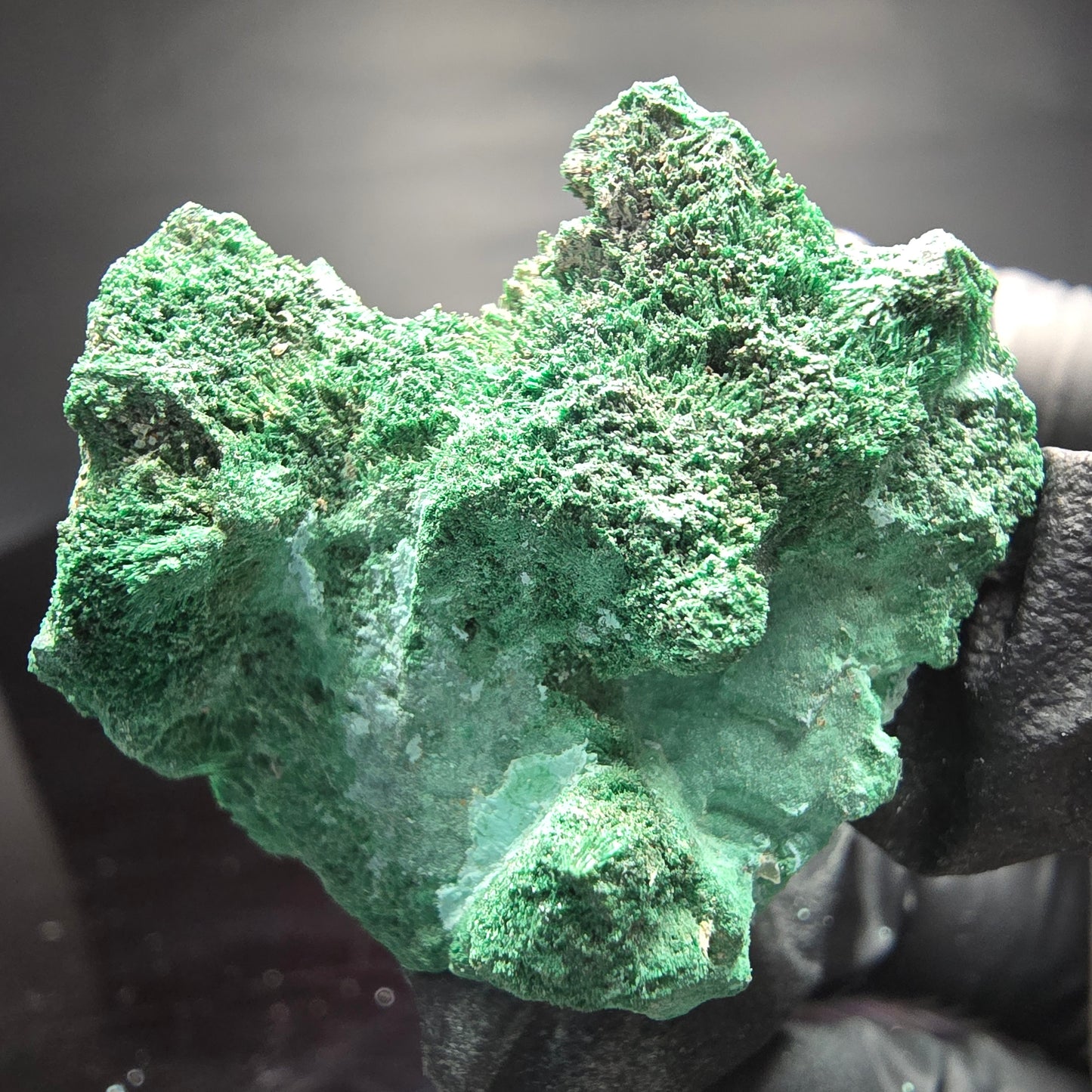 Seltene Malachit, Chrysokoll Stufe Kaokoveld, Namibia 40*31*31mm Sammlung