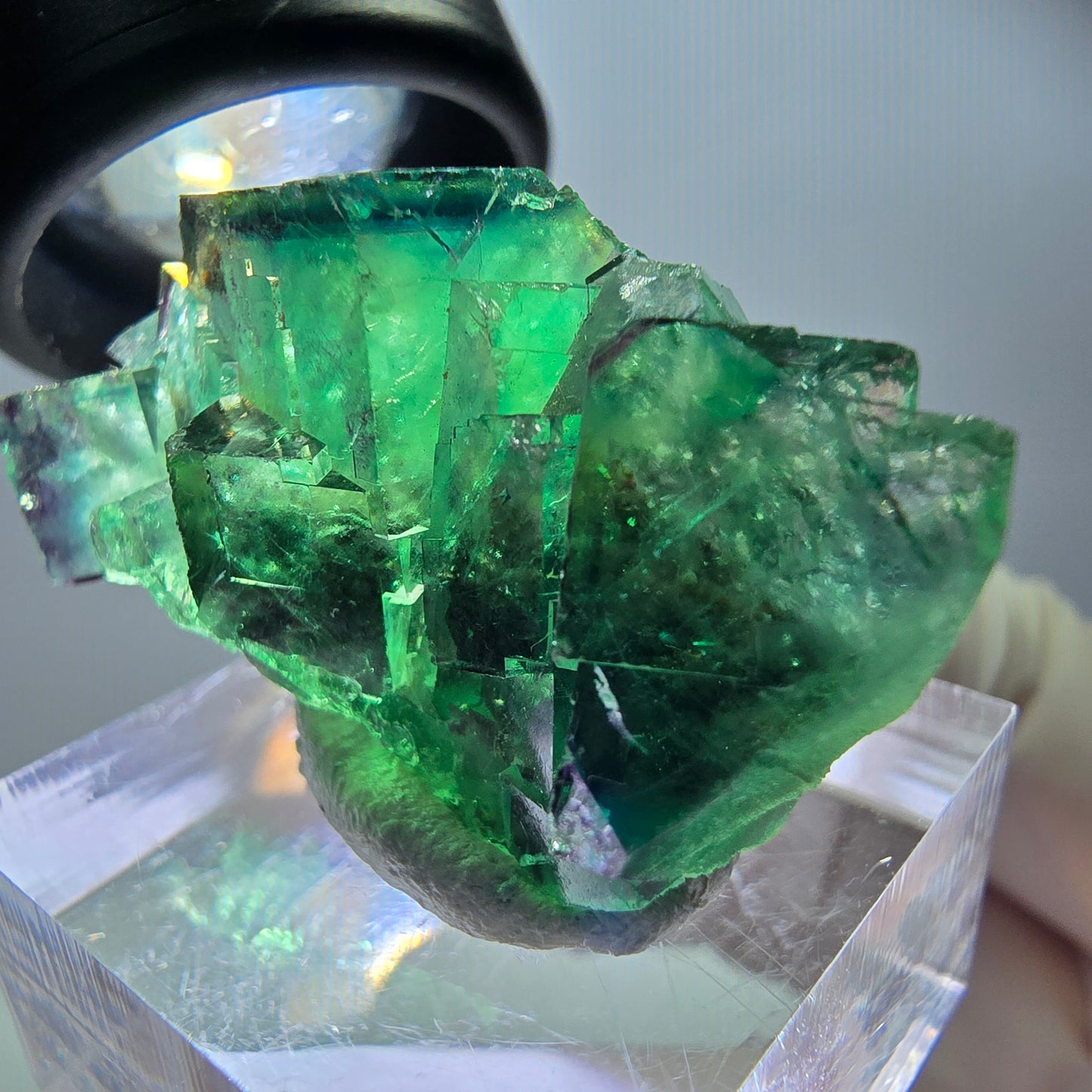 Rare spécimen de cube de fluorite, vert-violet, Okorusu, Namibie, 37 x 21 x 18 mm