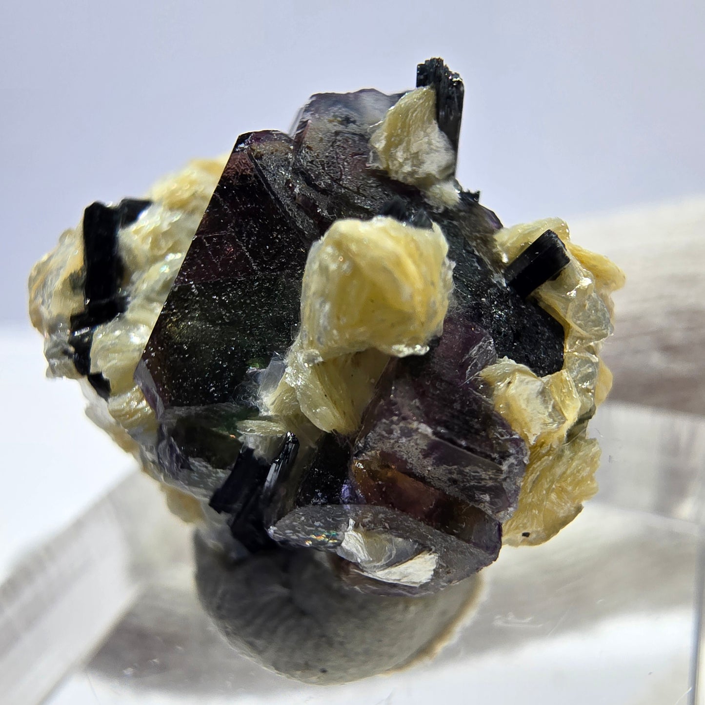Fluorite fantôme colorée, Spécimen de tourmaline muscovite Schorl, Erongo, Namibie, 23 x 18 x 15 mm