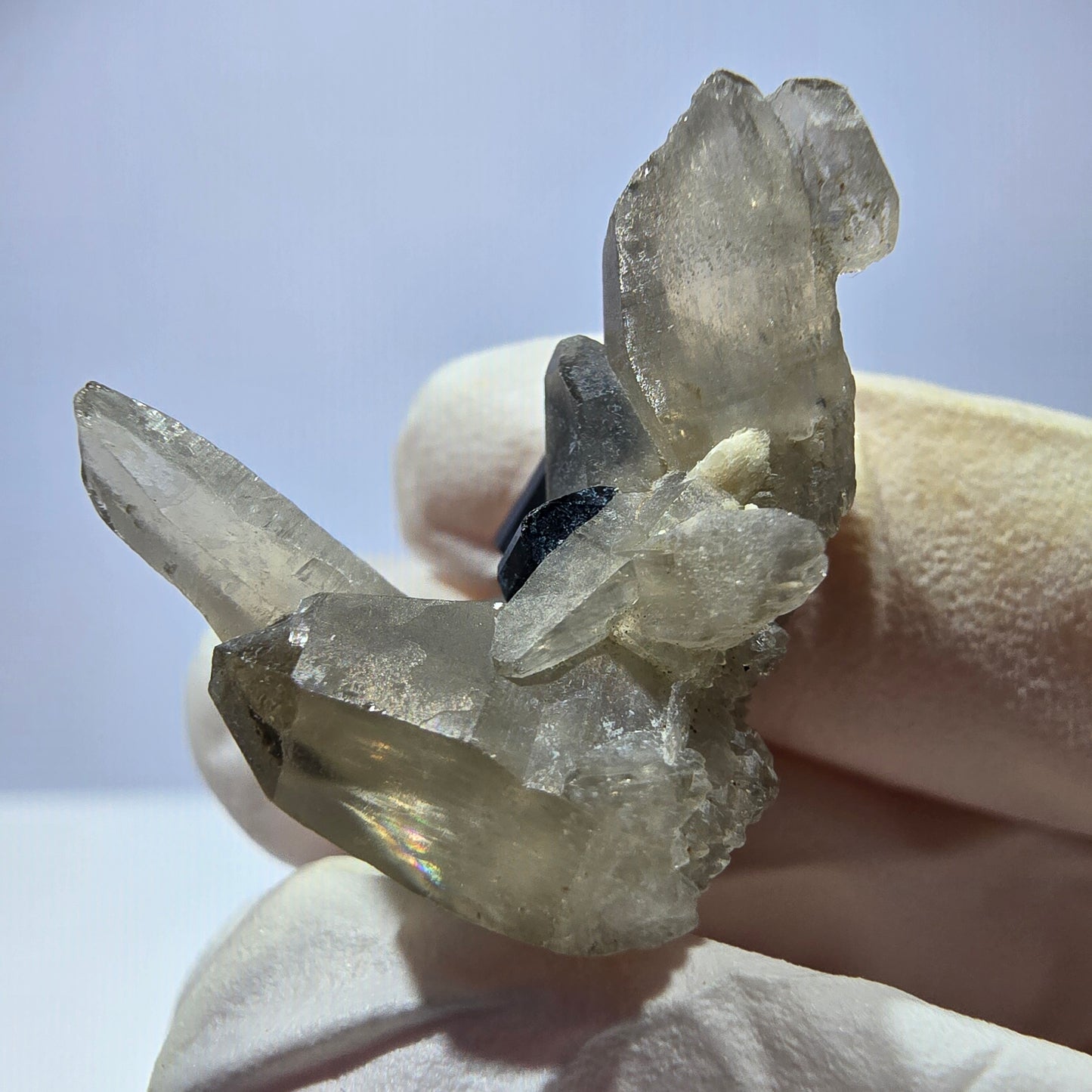 Tourmaline Schorl symétrique, spécimen de quartz fumé, Erongo, Namibie, 33 x 21 x 23 mm
