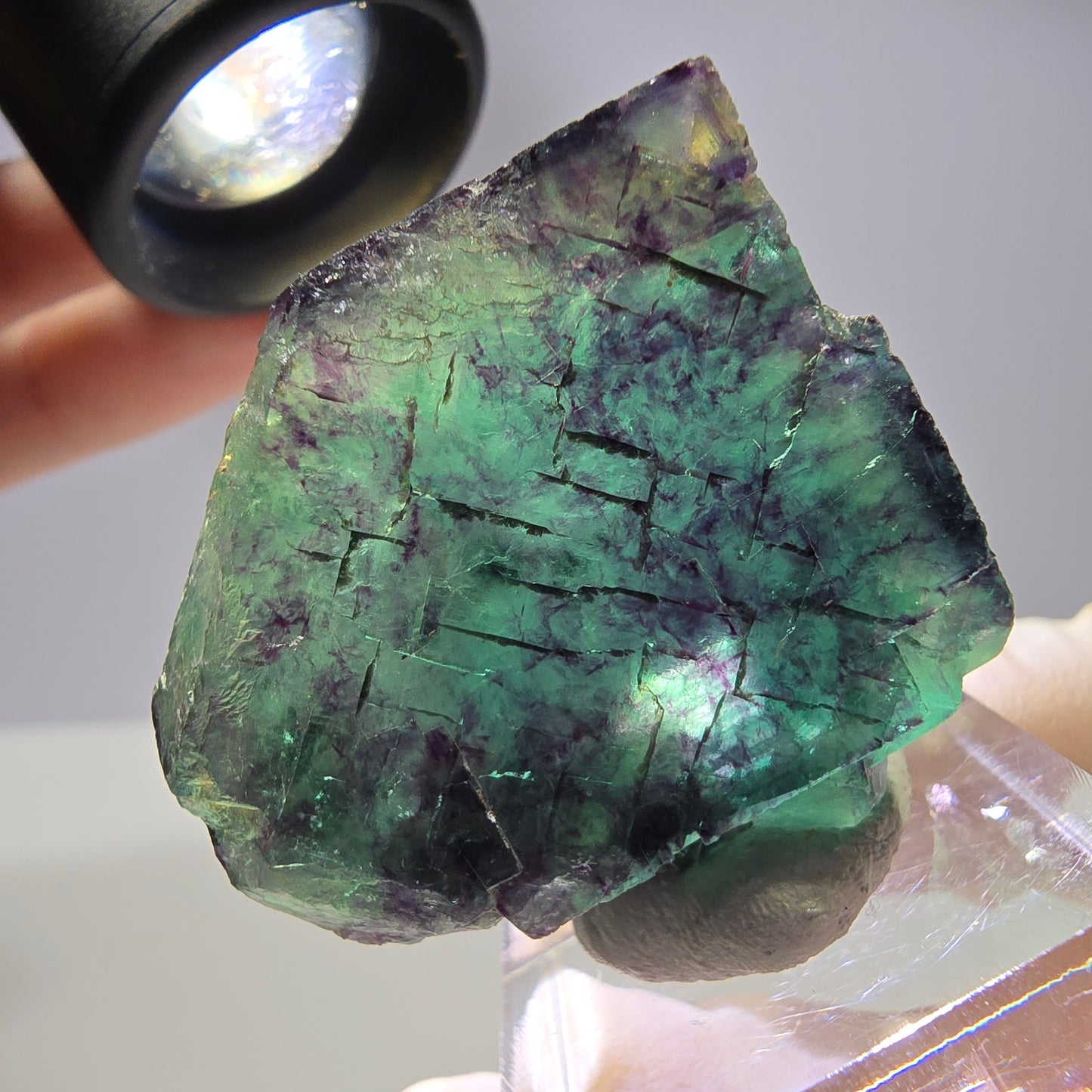 Rare cube de fluorite fantôme parqueté vert violet Okorusu Namibie 35*33*14mm