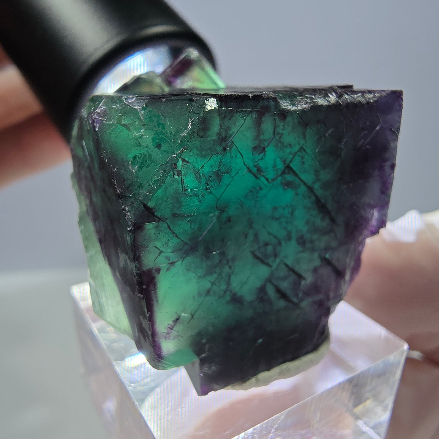 Rare cube de fluorite fantôme parqueté vert violet Okorusu Namibie 41*31*24mm