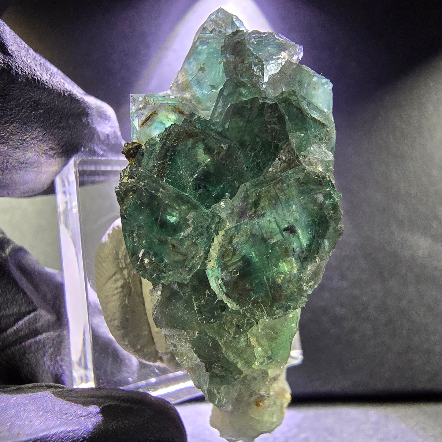 Seltene Phantom Fluorit XX Würfel Stufe grün lila 46*20*19mm aus Okorusu, Namibia