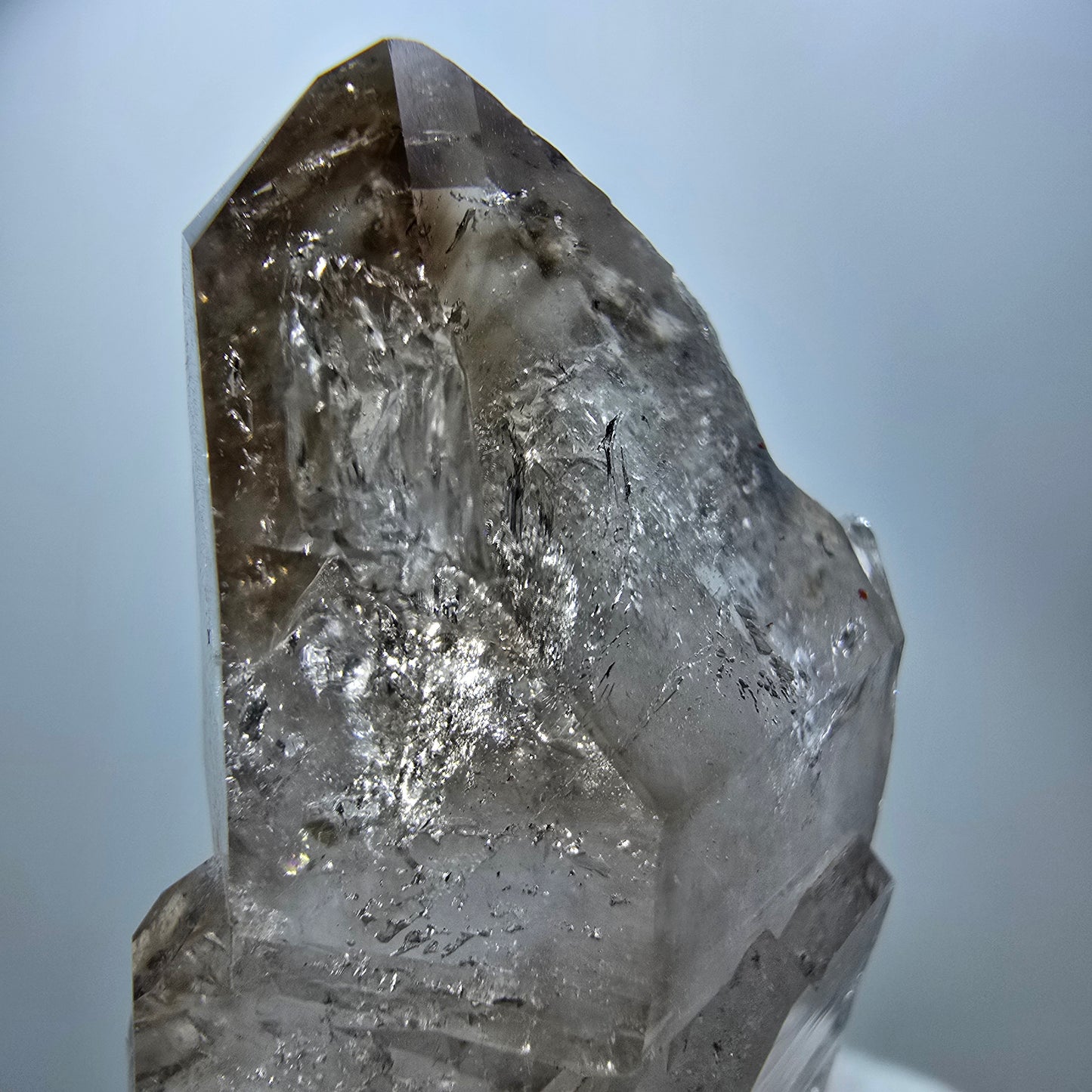 Klarer Phantom Rauchquarz DT Zepter Kristall Goboboseb, Namibia 52*26*22mm