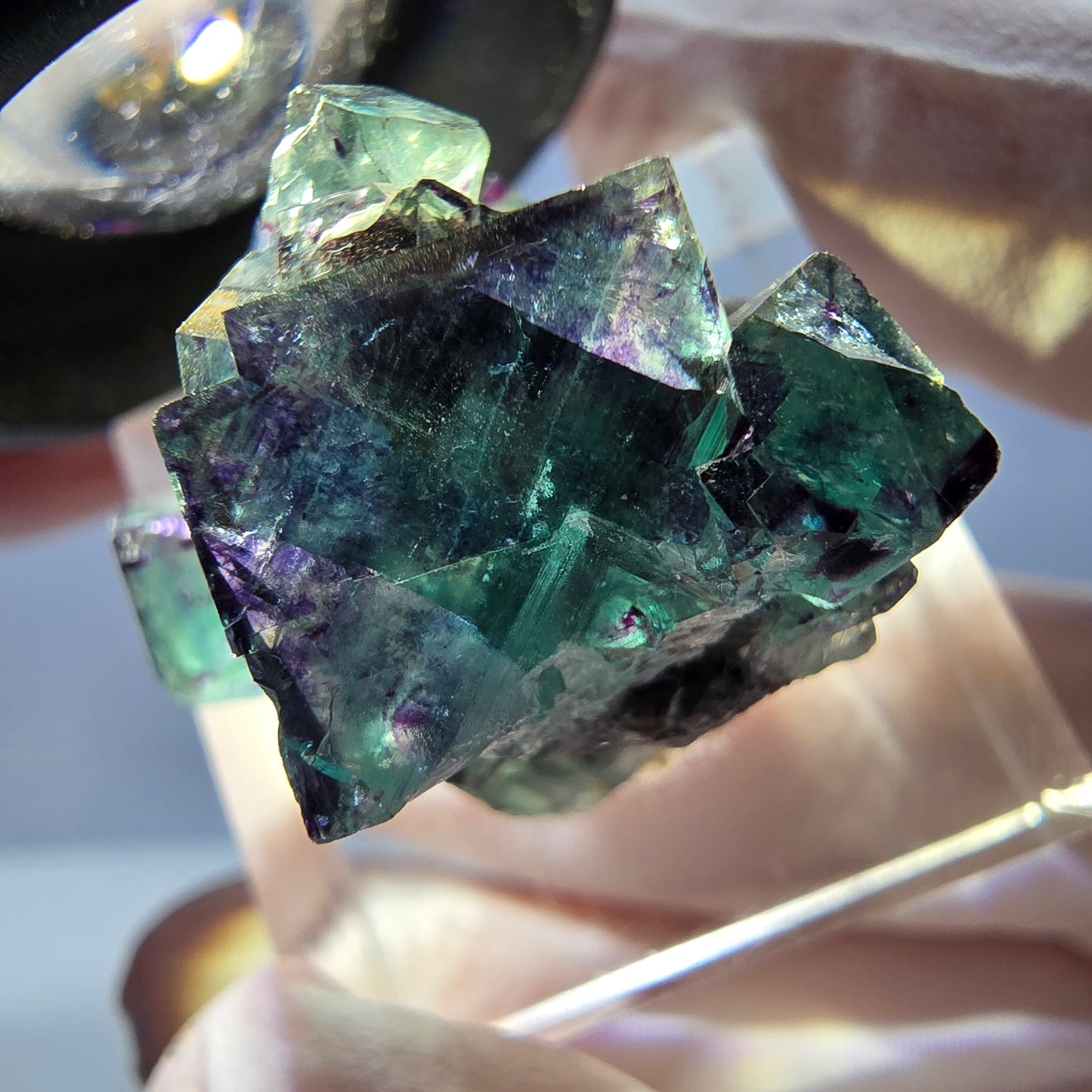 Spécimen de cube de fluorite fantôme, parqueté vert violet Okorusu, Namibie 27*21*19 mm