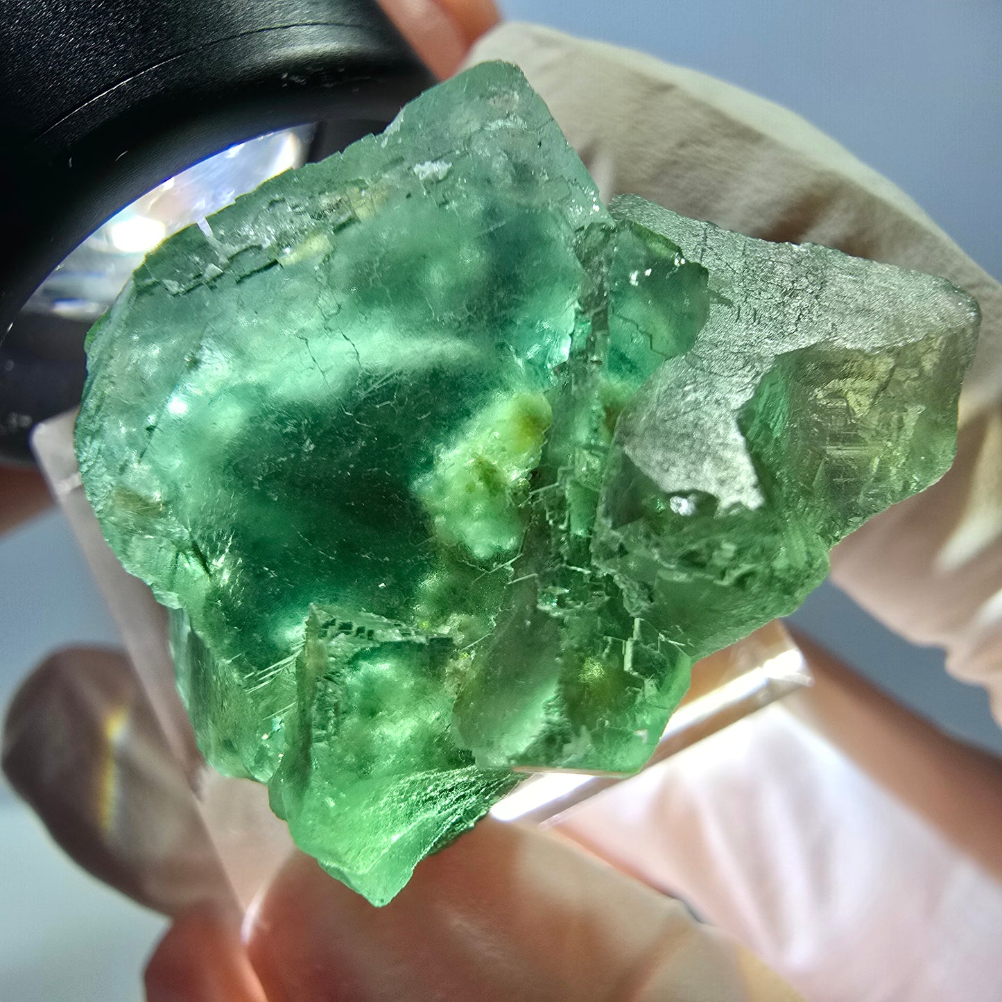 Spécimen de cube de fluorite fantôme, parquet vert Okorusu, Namibie 35*26*24 mm