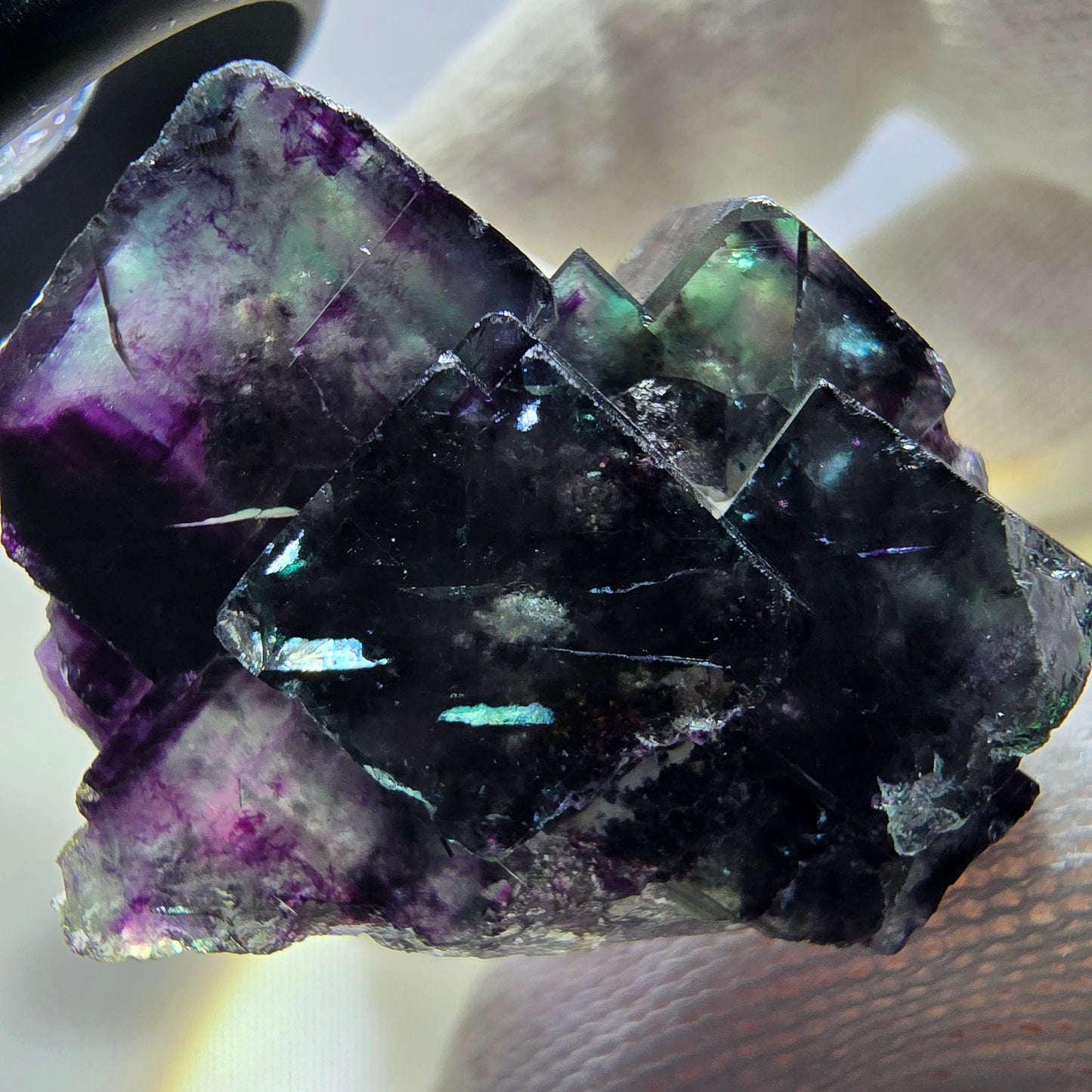 Seltene Phantom Fluorit Würfel Stufe zonal grün lila Okorusu, Namibia 38*33*23mm