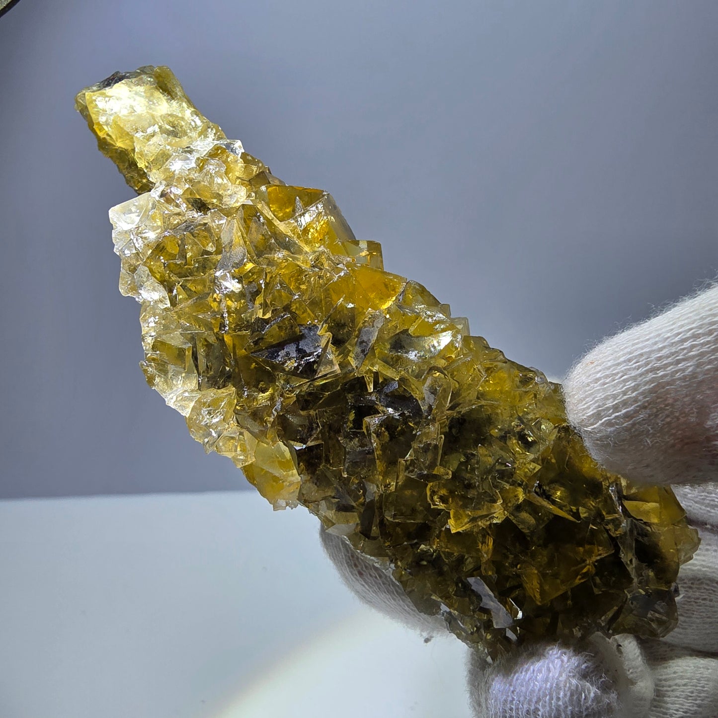 Grand spécimen de cube de fluorite fantôme, poche jaune miel, Okorusu, Namibie, 101 x 30 x 34 mm
