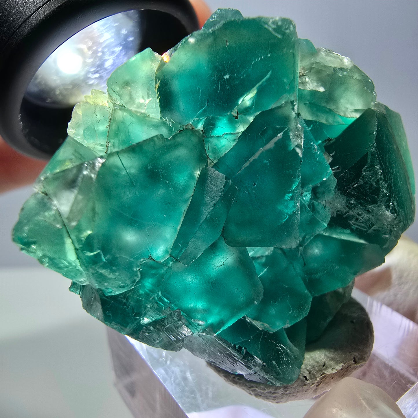 Phantom Fluorit Würfel Stufe, grün parkettiert Okorusu, Namibia 41*36*13mm