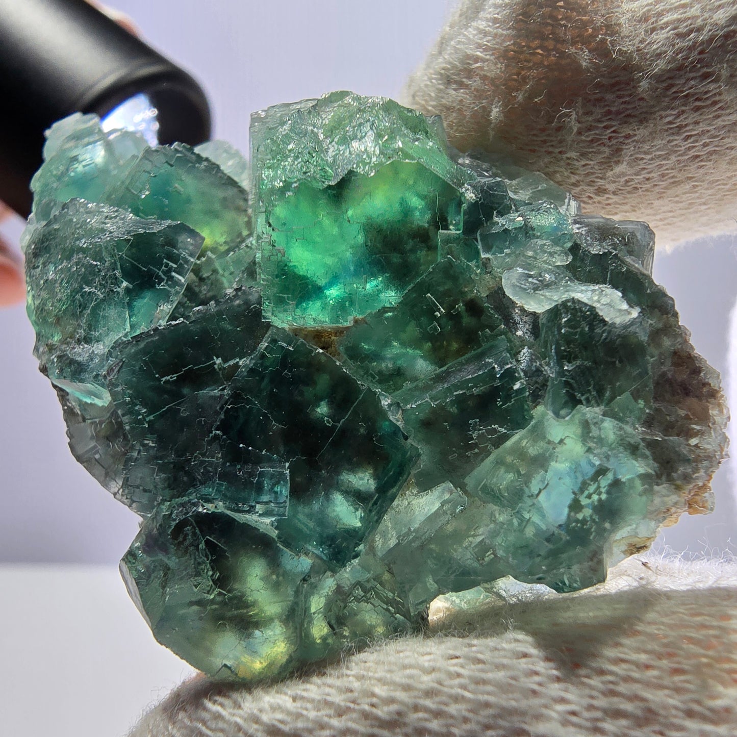 Rare spécimen de cube de fluorite fantôme, parqueté vert Okorusu, Namibie, 62 x 39 x 19 mm