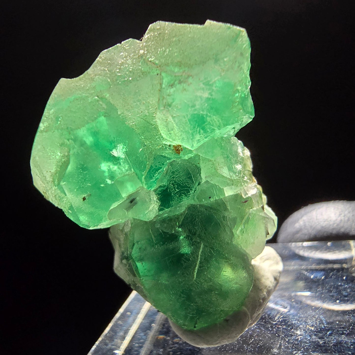 Klare Phantom Fluorit, Schörl Turmalin, Muskovit Stufe Erongo Namibia 30*24*19mm