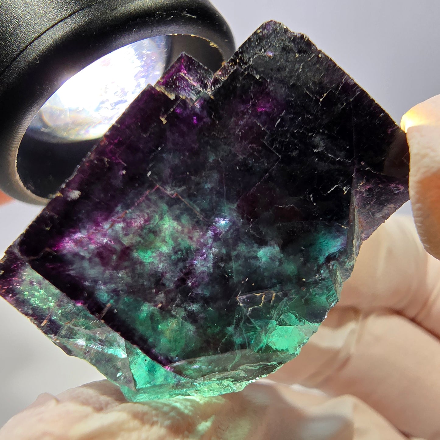 Spécimen de cube de fluorite fantôme, parqueté vert violet Okorusu, Namibie 31*30*20 mm