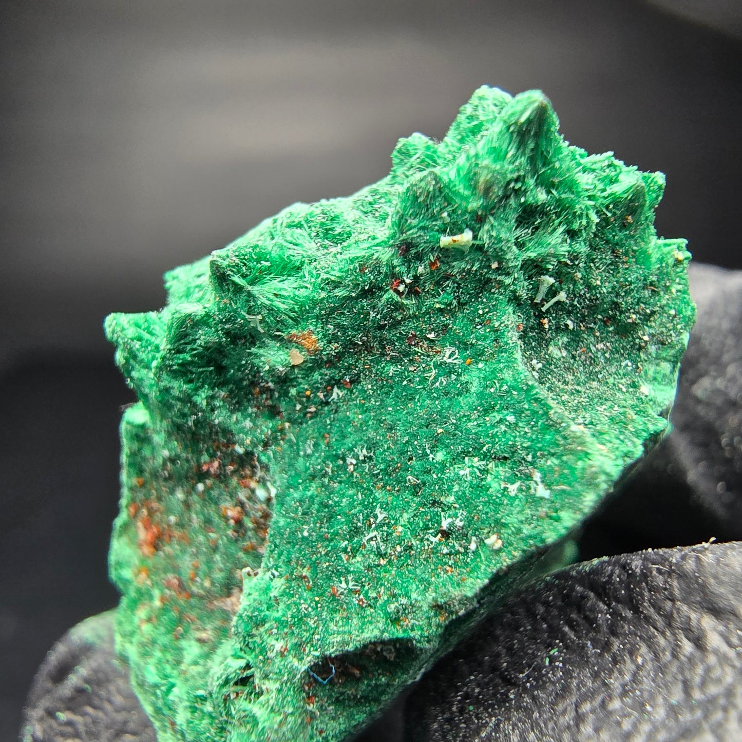 Seltene Malachit Stufe, grün Kaokoveld, Namibia 33*21*16mm Mineraliensammlung