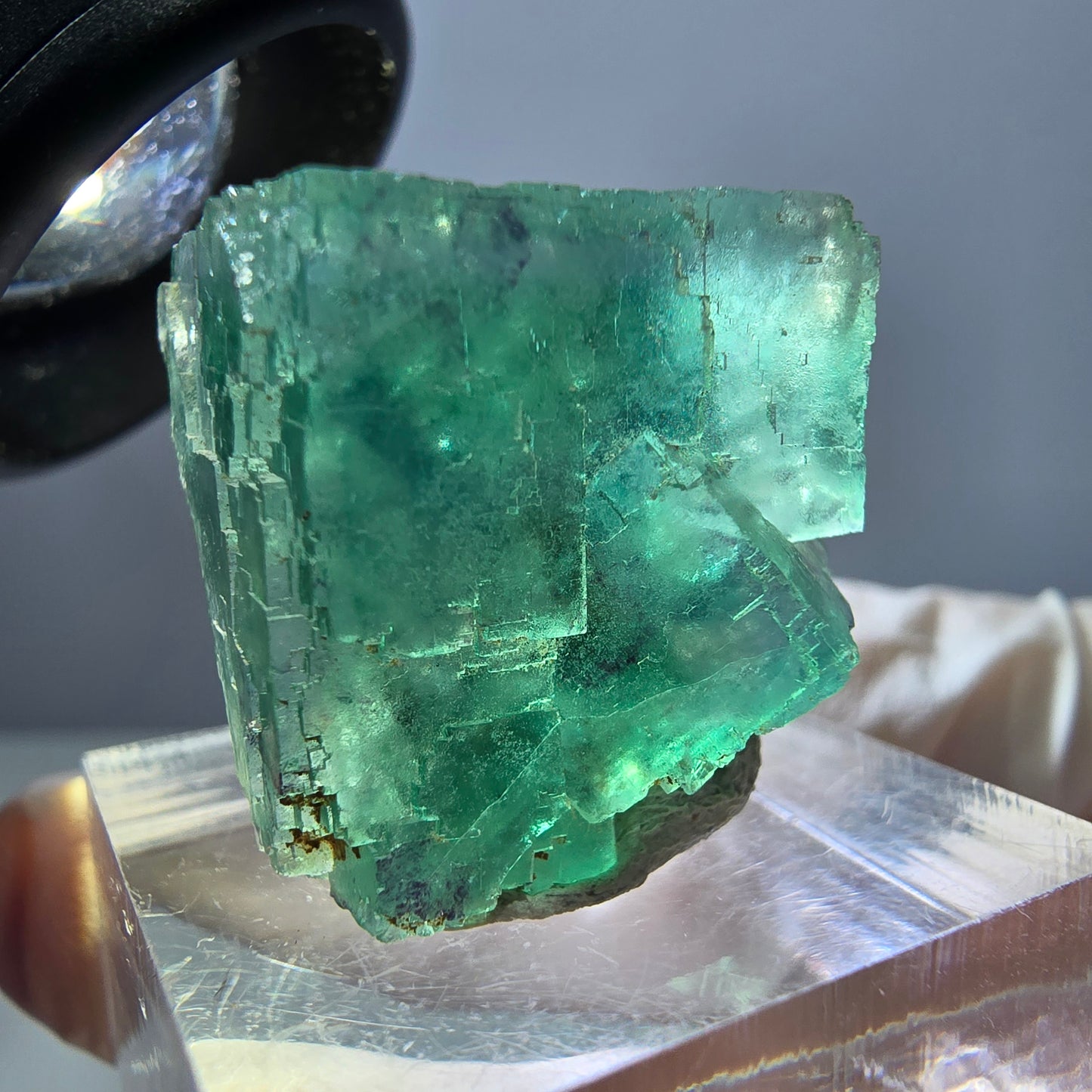 Spécimen de cube de fluorite fantôme, parquet vert Okorusu, Namibie 22 x 21 x 16 mm